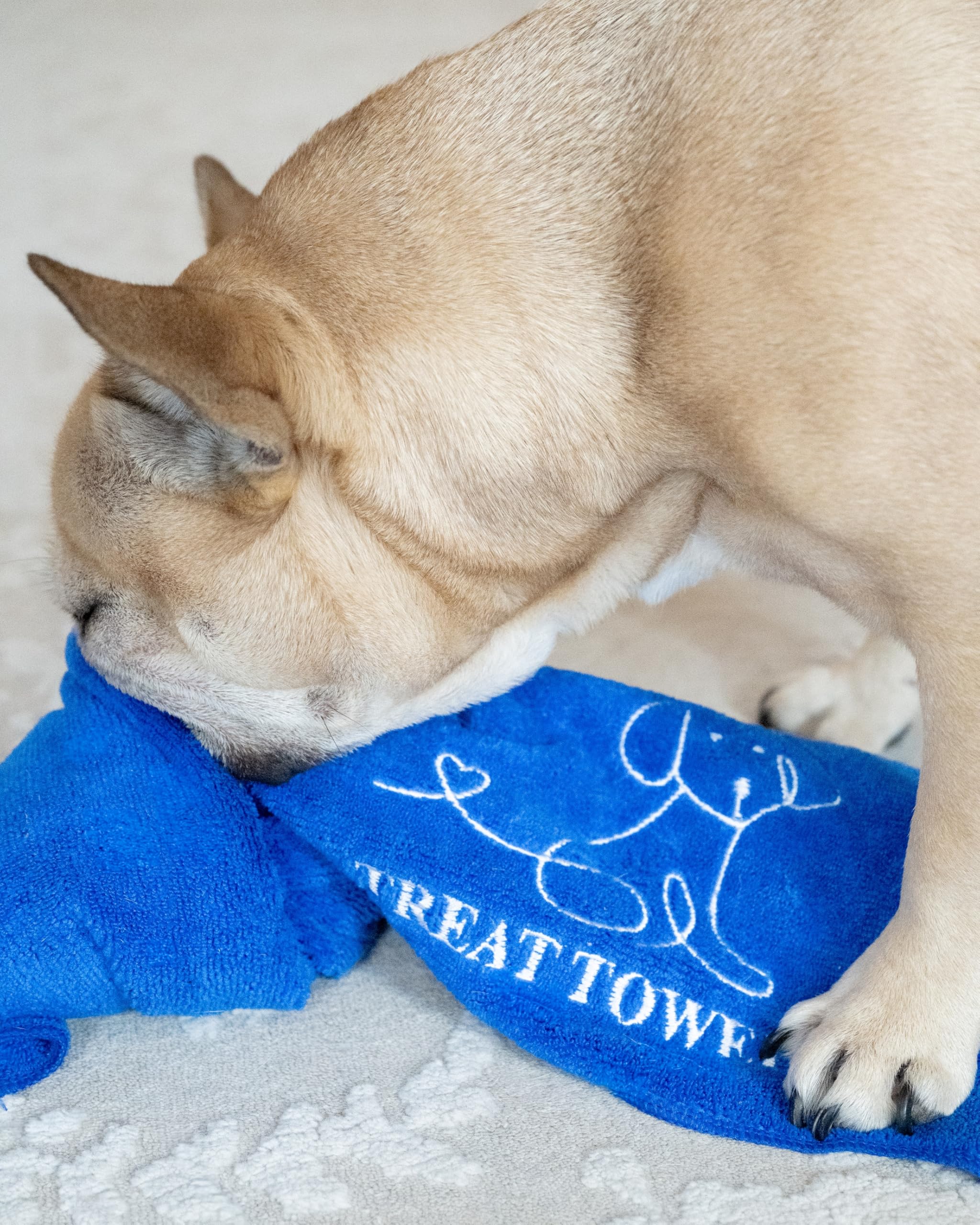 Green Treat Towel (Blue)