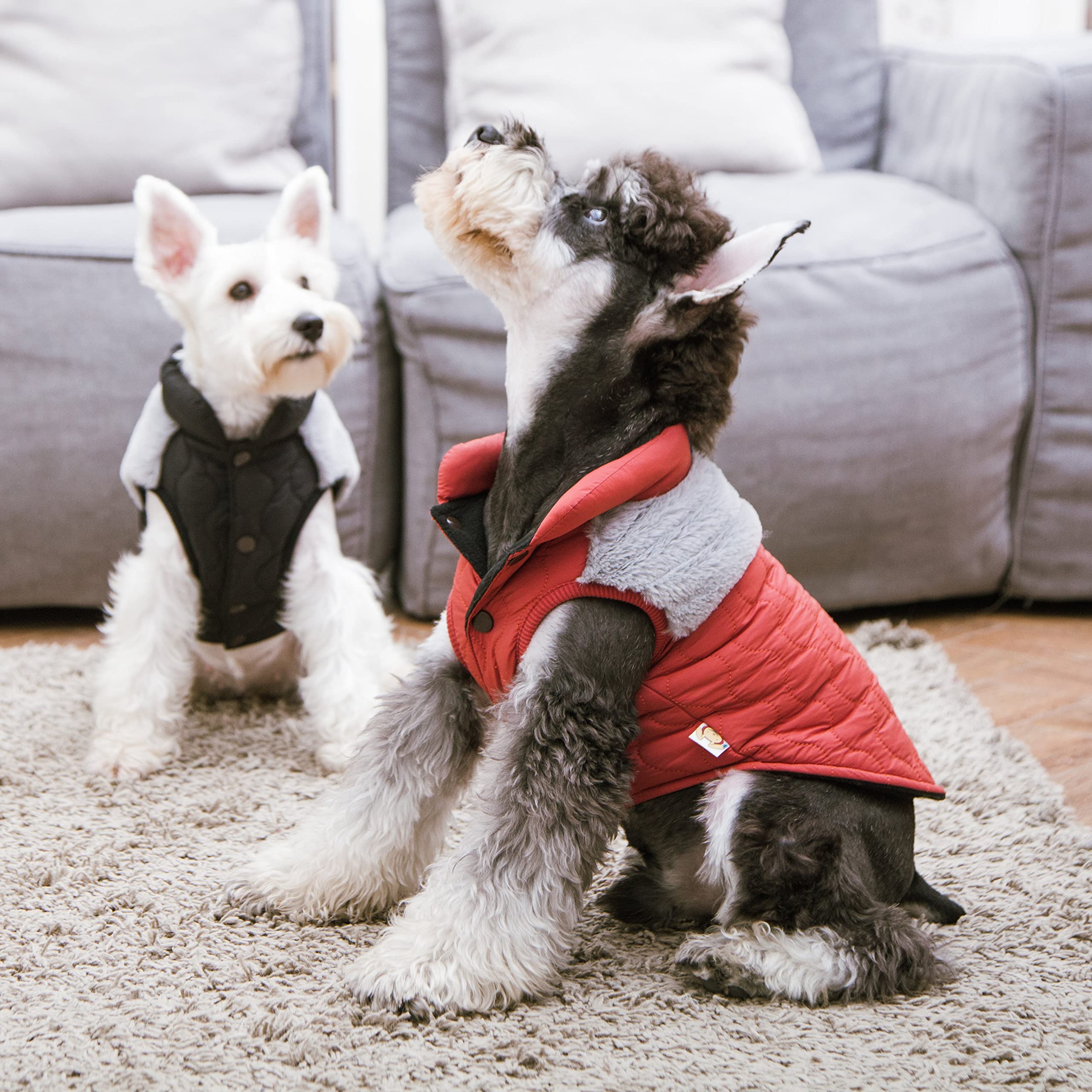 Touchdog 'Furrost-Bite' Fur And Fleece Fashion Dog Jacket, X-Small, Red