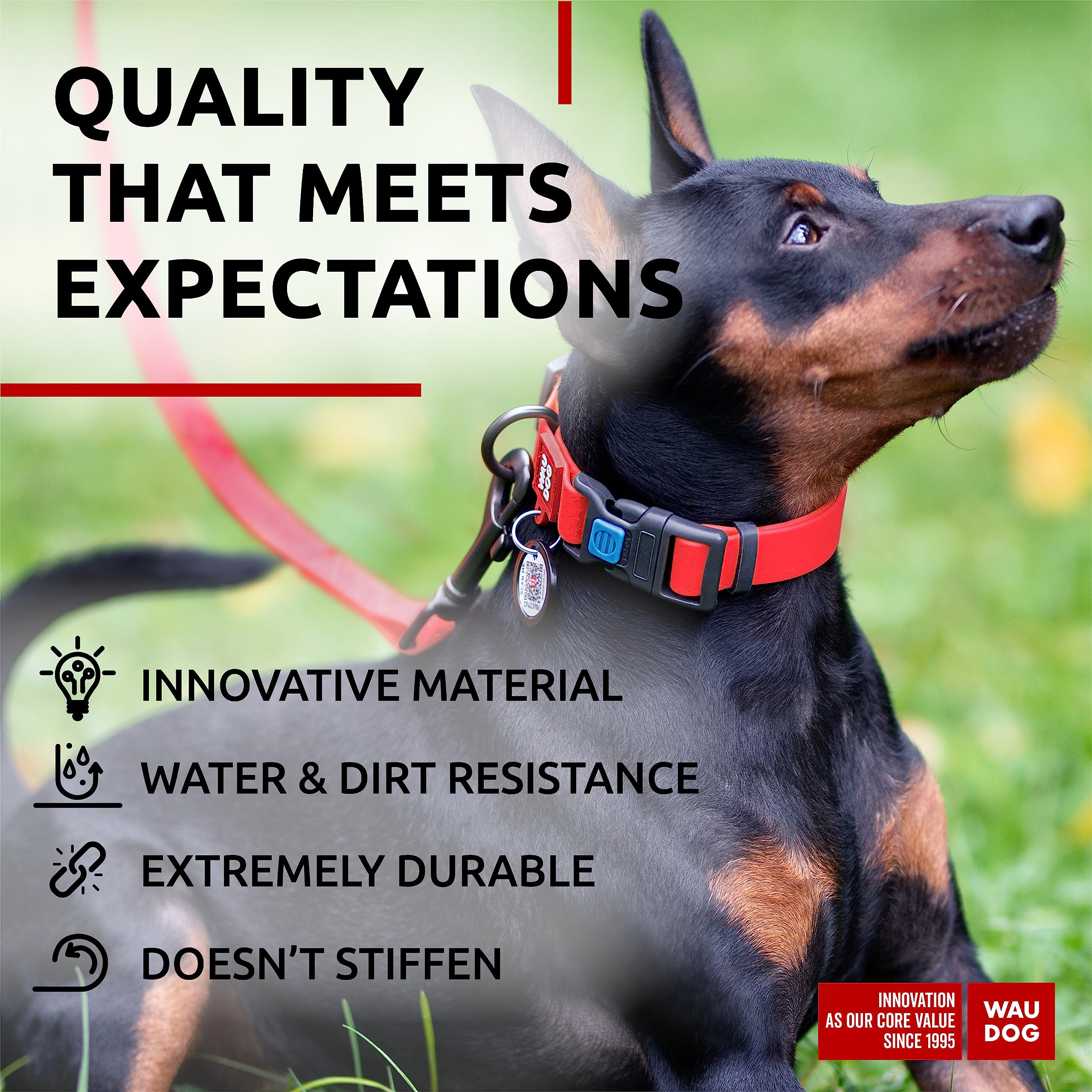 Waterproof Dog Collar - Adjustable Dog Collar For Large Dogs, Small And Medium Dogs - Breakaway Dog Collar Waterproof With Plast