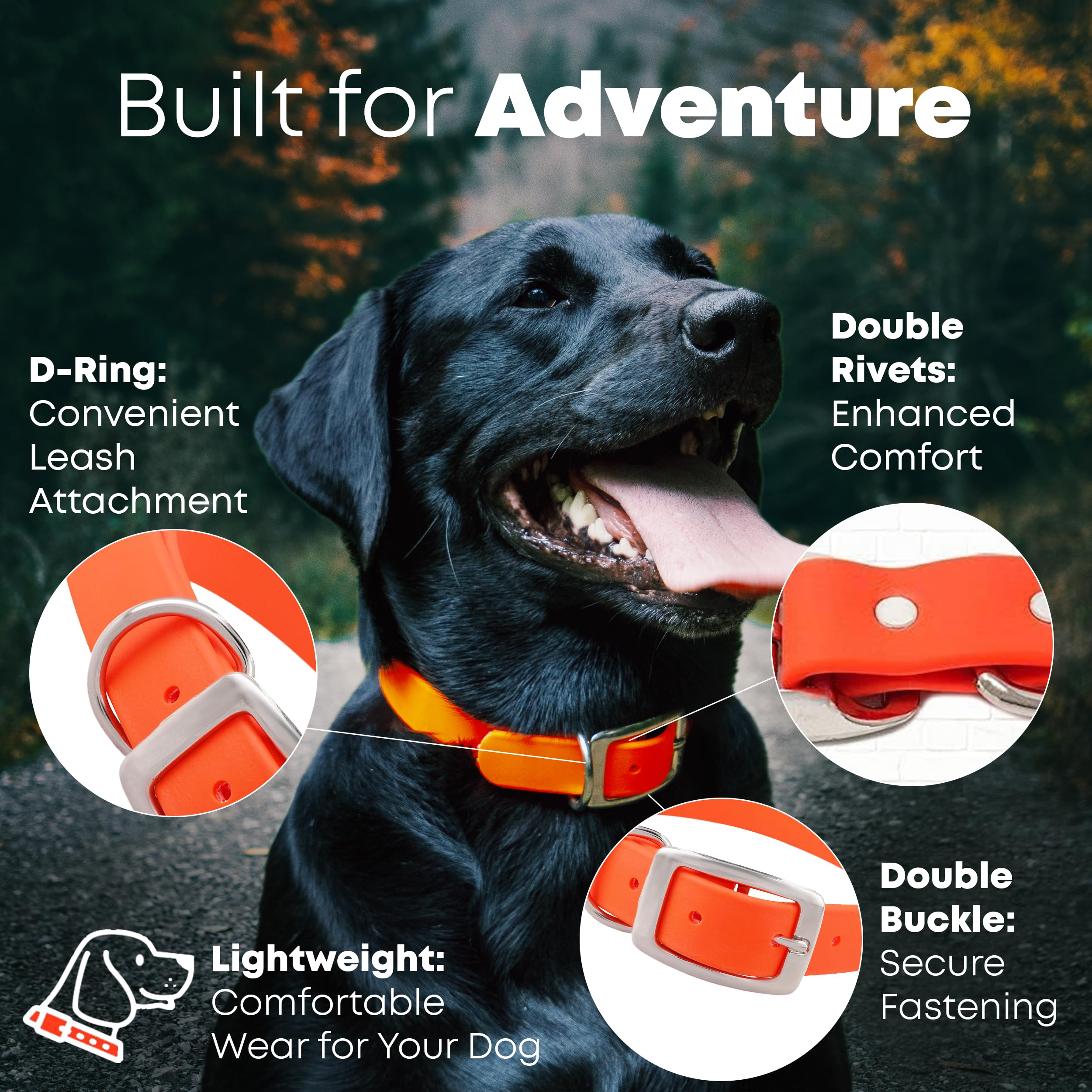 Regal Dog Products Large Orange Waterproof Dog Collar | Heavy Duty Biothane, Adjustable, Chew Resistant with Double Buckle & D Ring