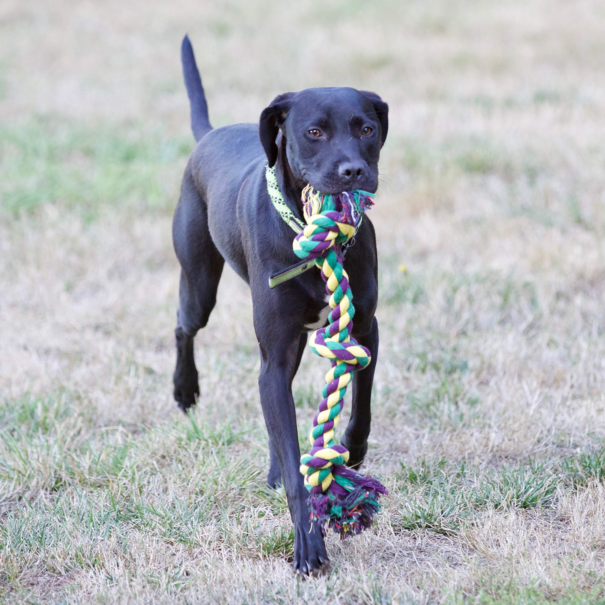 Youngever Dog Rope Toys, Puppy Chew Toys Dog Toys For Medium To Large Dogs (6 Pack)