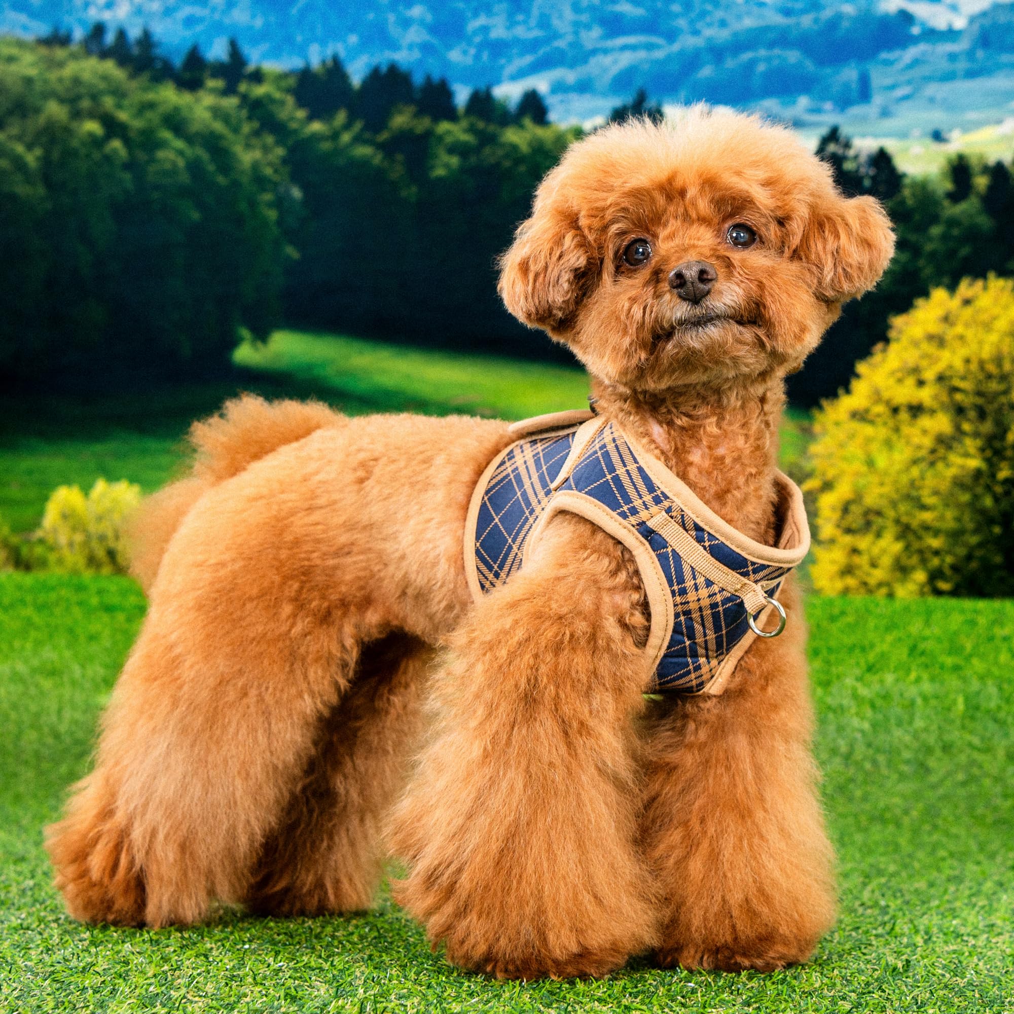Puppia Corwin Dog Vest Harness B (Step-In) Fashionable Checkered Pattern Spring Summer Harness For Small And Medium Dogs, Navy,