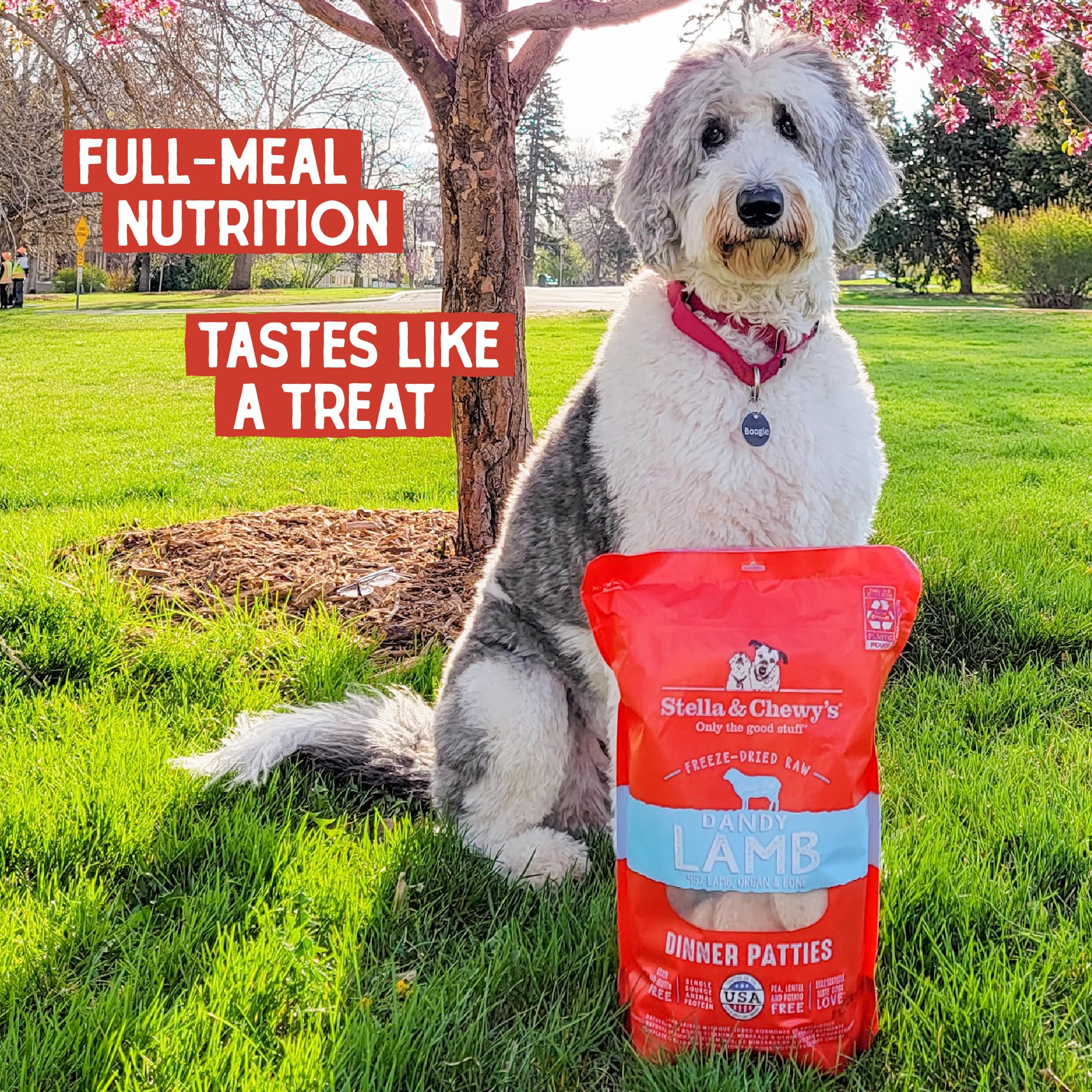 Stella & Chewy's Freeze Dried Raw Dog Food, Dandy Lamb Recipe, 14 oz, Grain Free