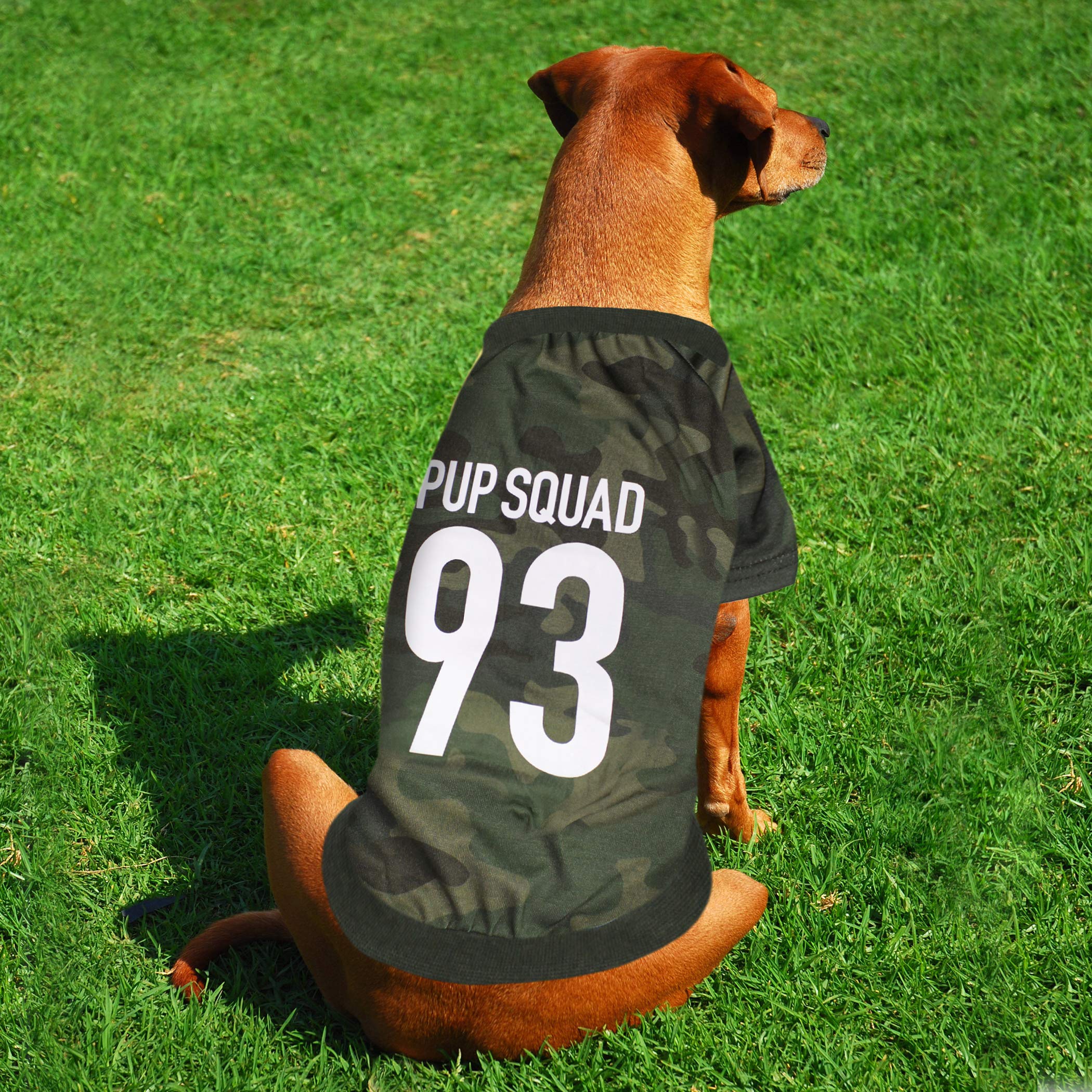 Laur Diy Pet Tee Shirt - Pup Squad - Laurdiy Dog Shirt, Large