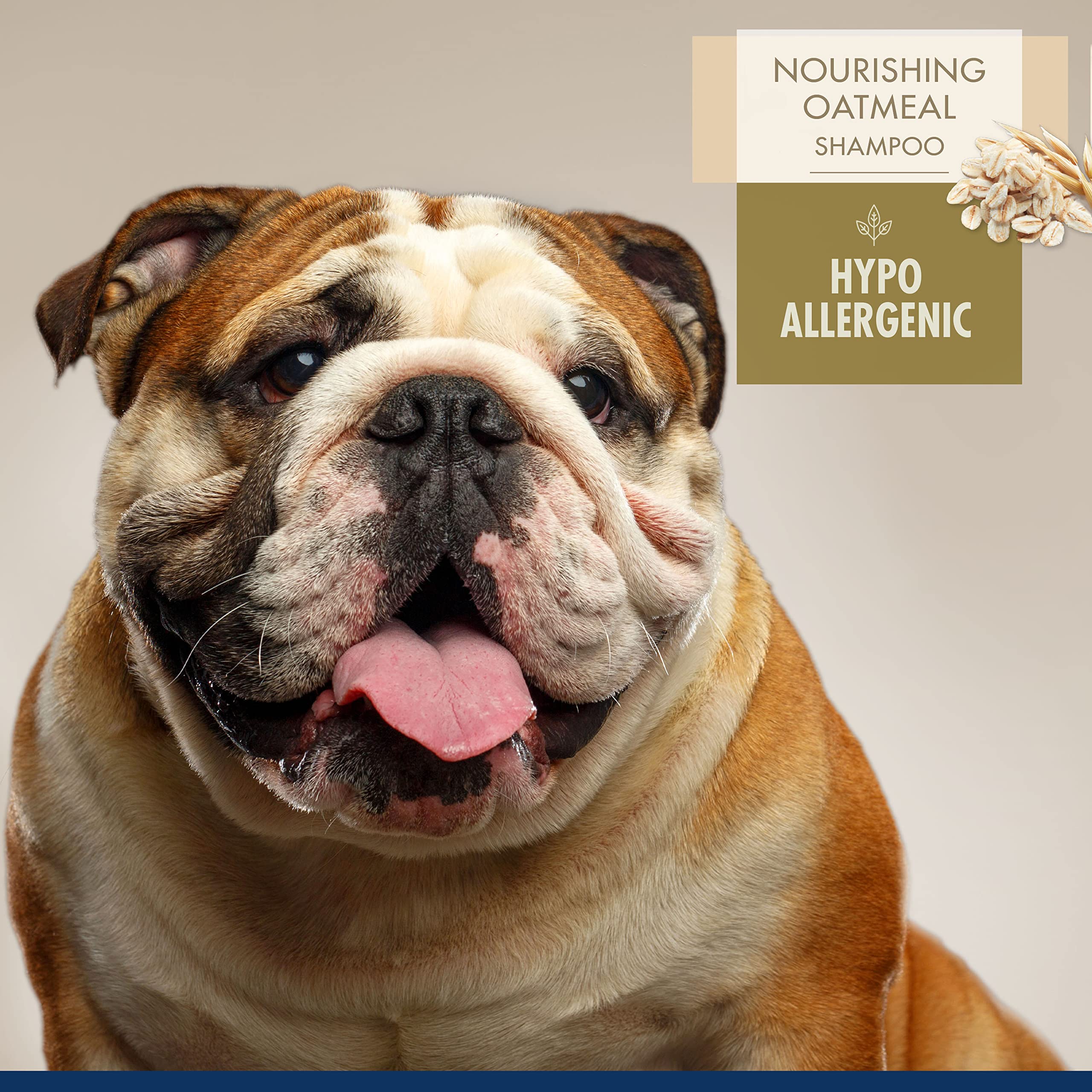 Magic Coat Professional Series Nourishing Oatmeal Hypo-Allergenic Dog Shampoo