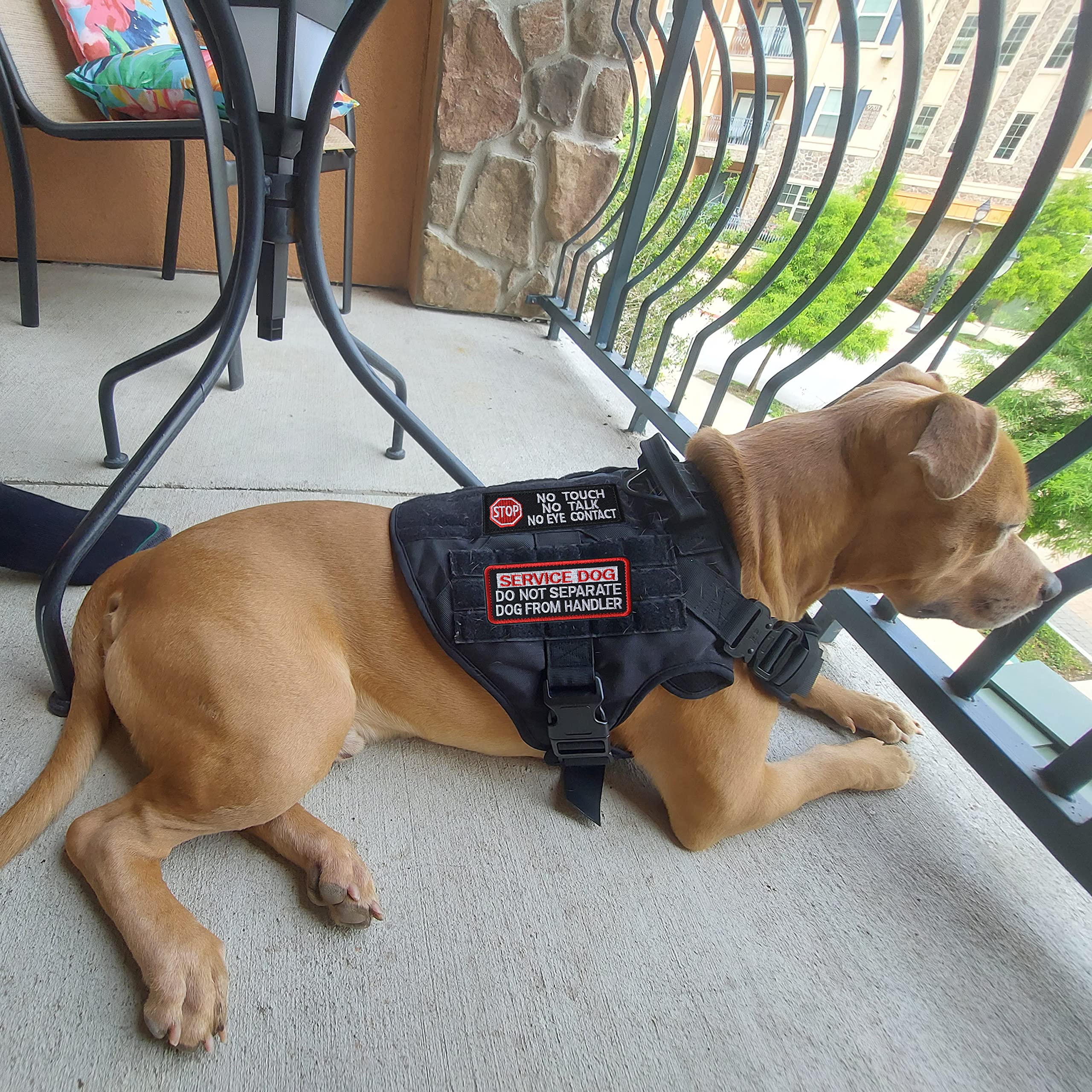 10 Pieces Service Dog K9 Please Don'T Pet Me In Training No Touch Full Embroidered Badge Emblem Patch For Service Dogs Harness V
