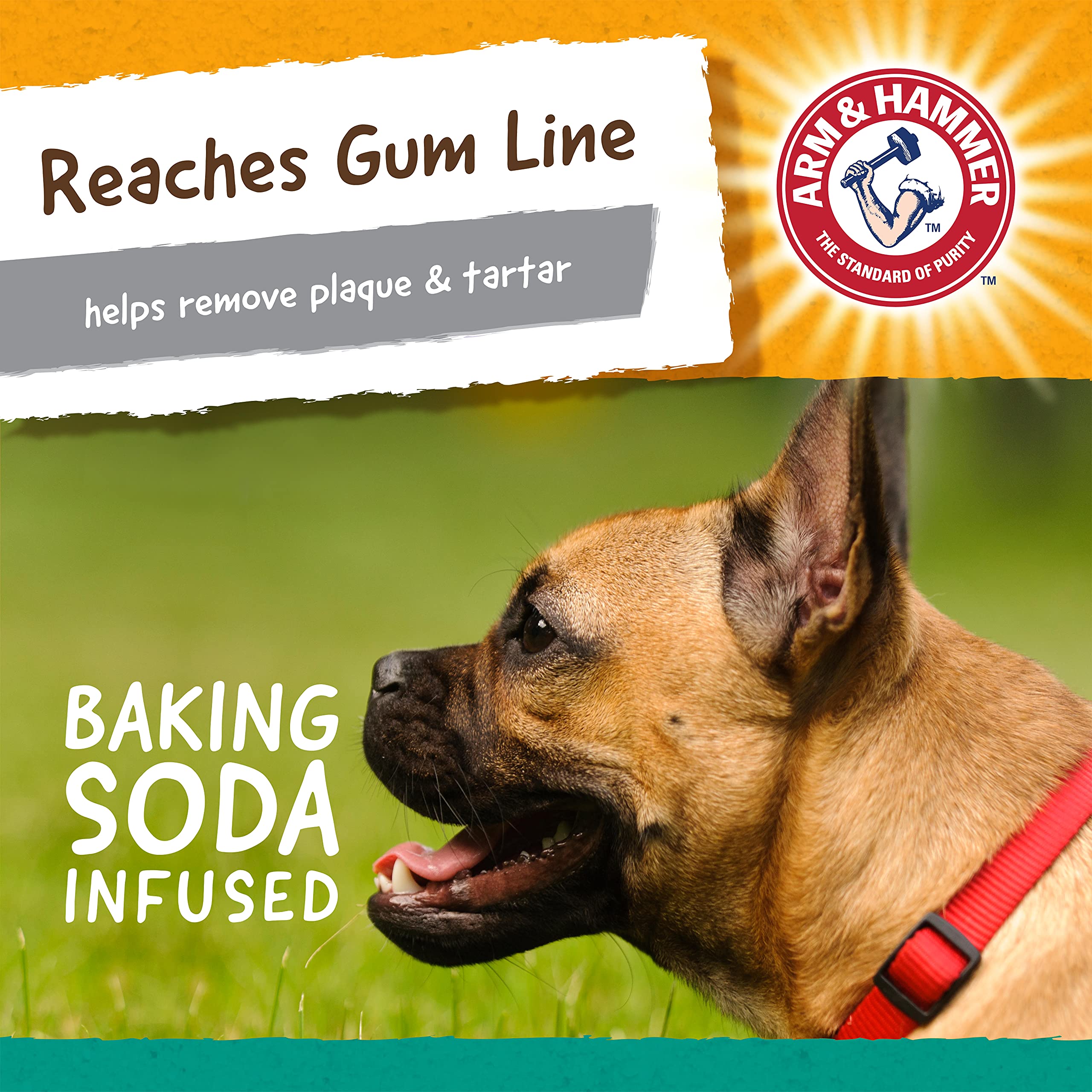 Arm & Hammer For Pets Ora-Play T-Bone Dental Chew Toy For Dogs -( Pack Of 2(| Best Dog Chew Toy For The Toughest Chewers | Reduces Plaque & Tartar Buildup Without Brushing, Peanut Butter Flavor