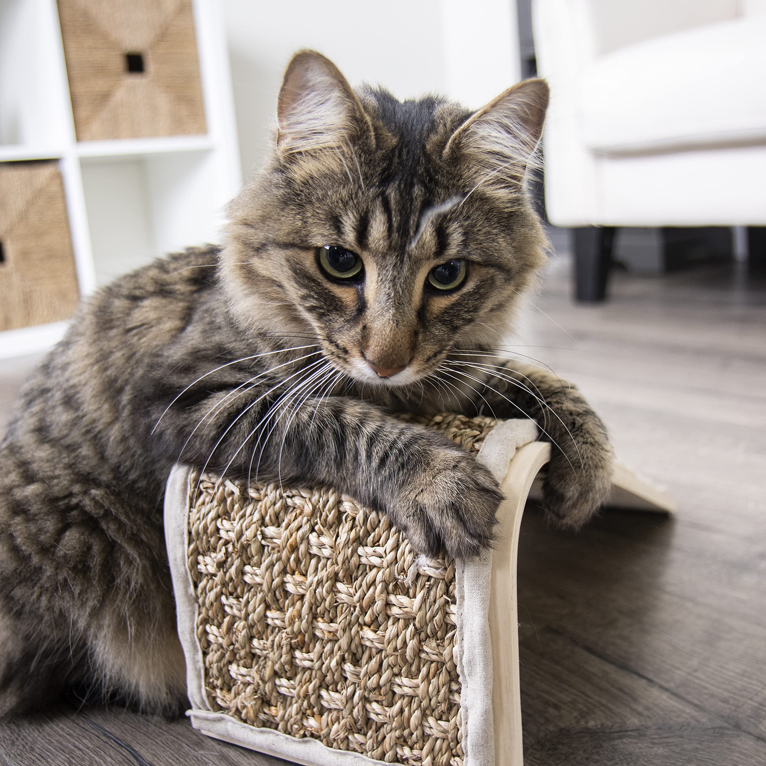 Petlinks Sea Ramp Cat Scratcher - Seagrass, Catnip Included, One Size, Random Color, Model 49313