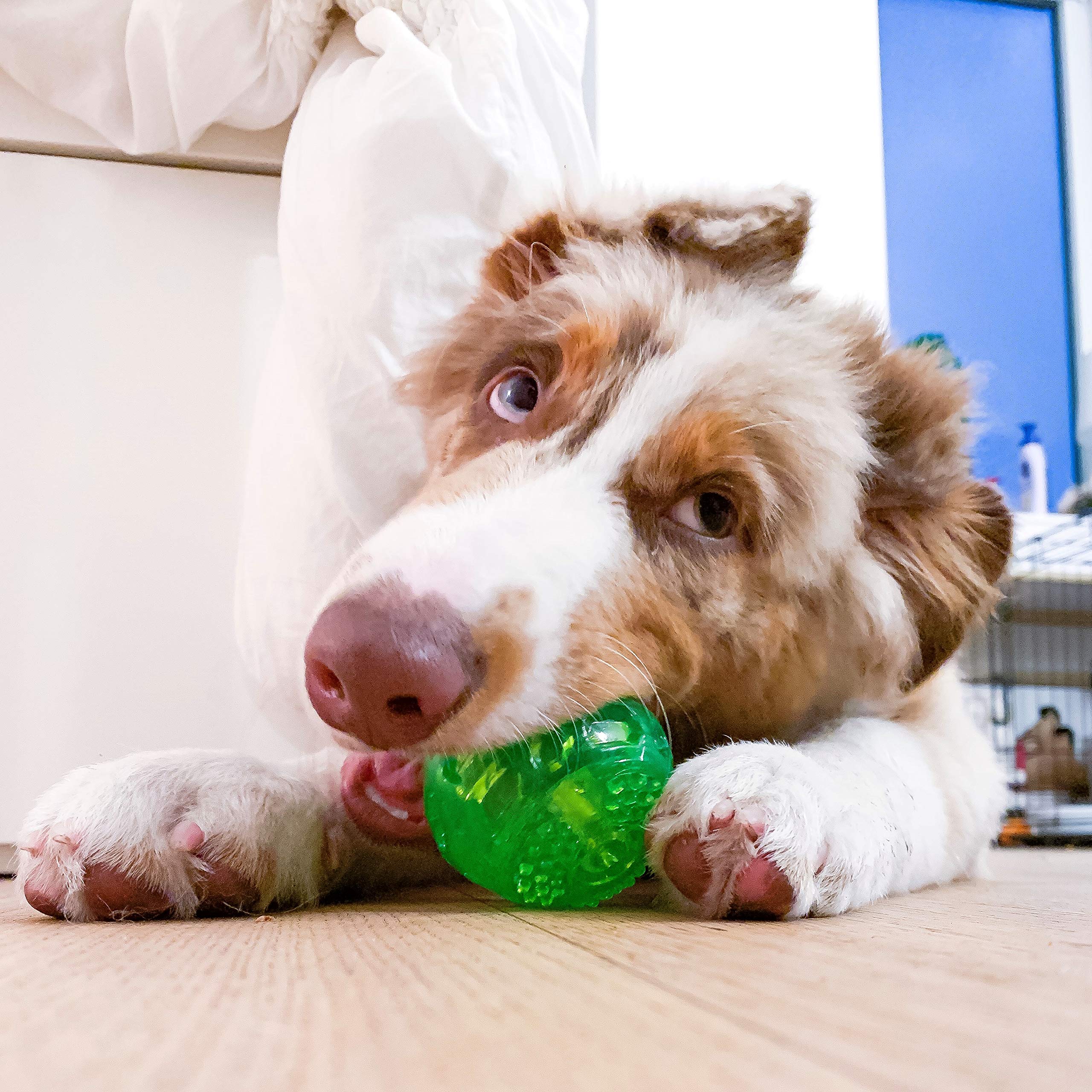 Hyper Pet DuraSqueak Dog Ball Toy - 2.5 Inch Green Floating Interactive Squeaky Toy for Fetching & Retrieving, Ideal Tennis Ball Alternative