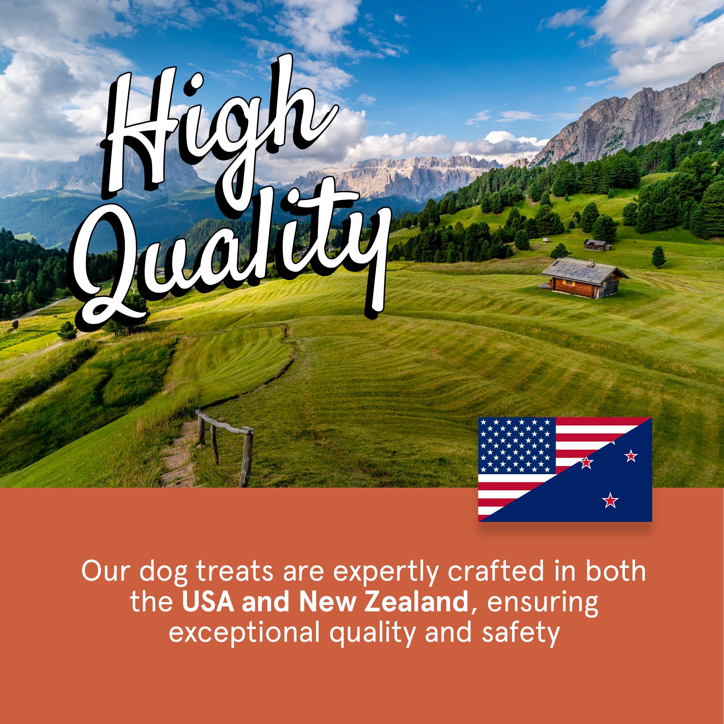 Real Meat Dog Treats - 12oz Bag of Bite-Sized Air-Dried Venison Jerky for Dogs - Grain-Free Jerky Dog Treats Made up of 95% Huma