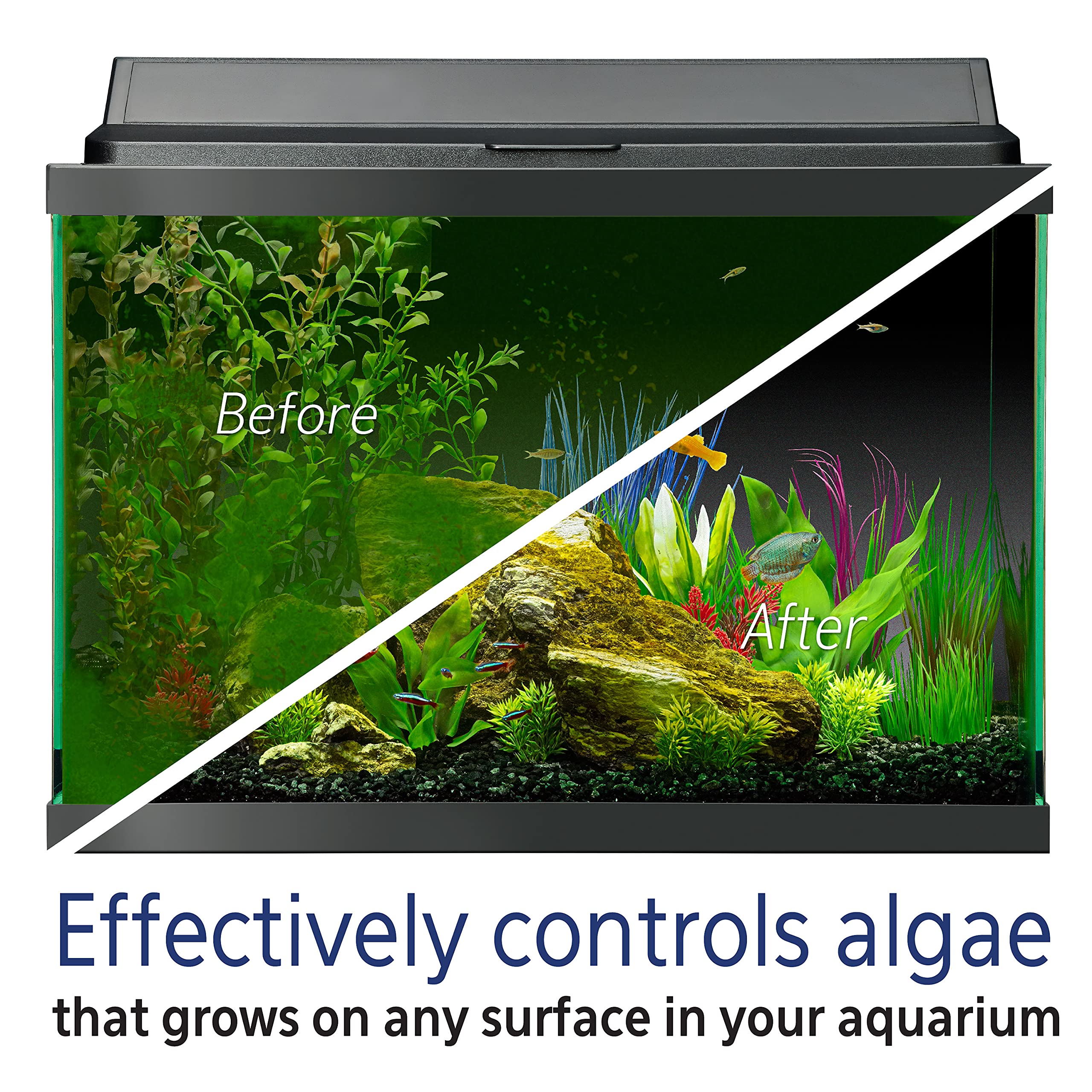 Aqueon Algae Removers 16 Fluid Ounces
