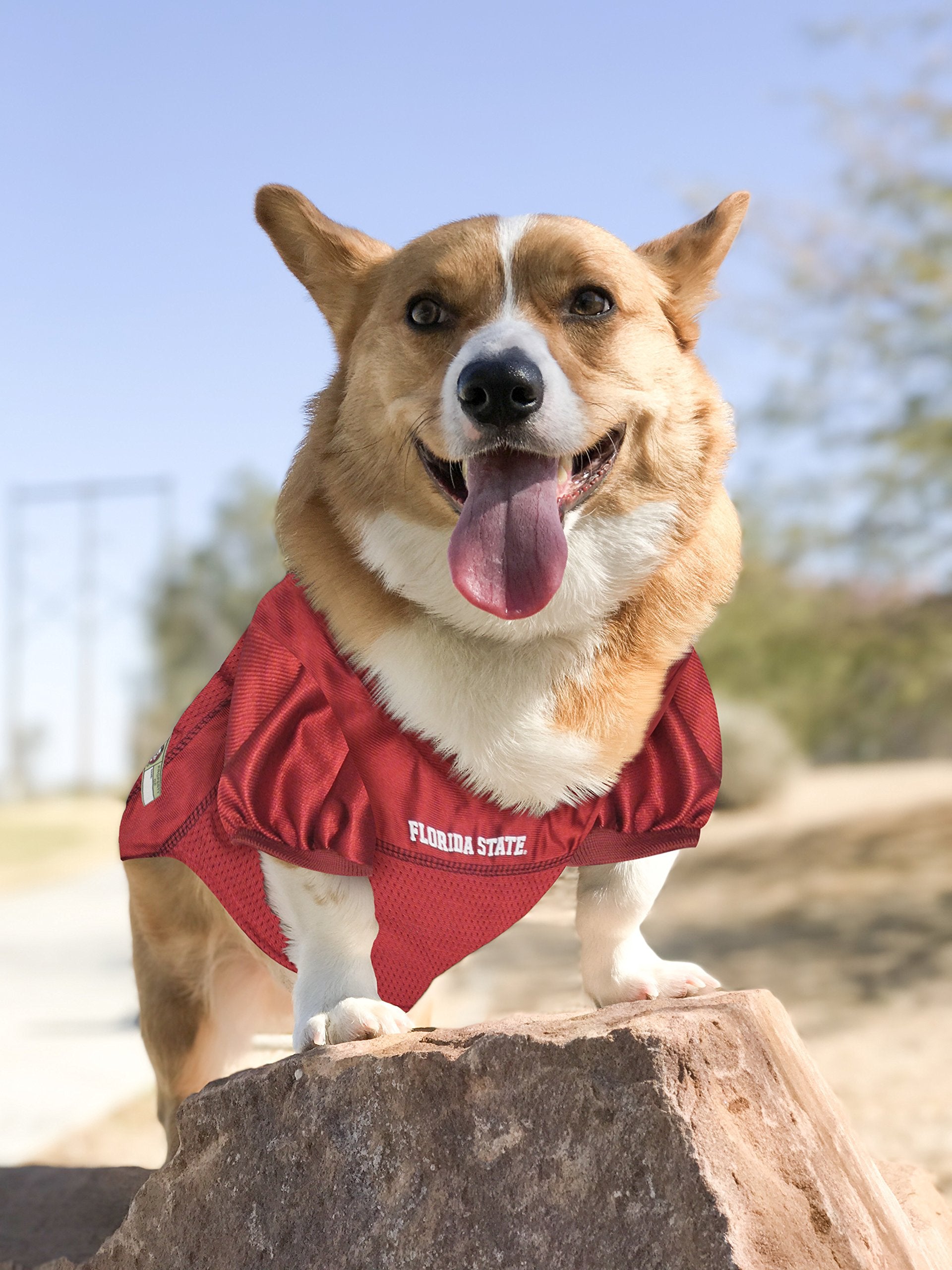 Pets First NCAA College Florida State Seminoles Mesh Jersey for DOGS & CATS, XX-Large. Licensed Dog Jersey with your Favorite Fo