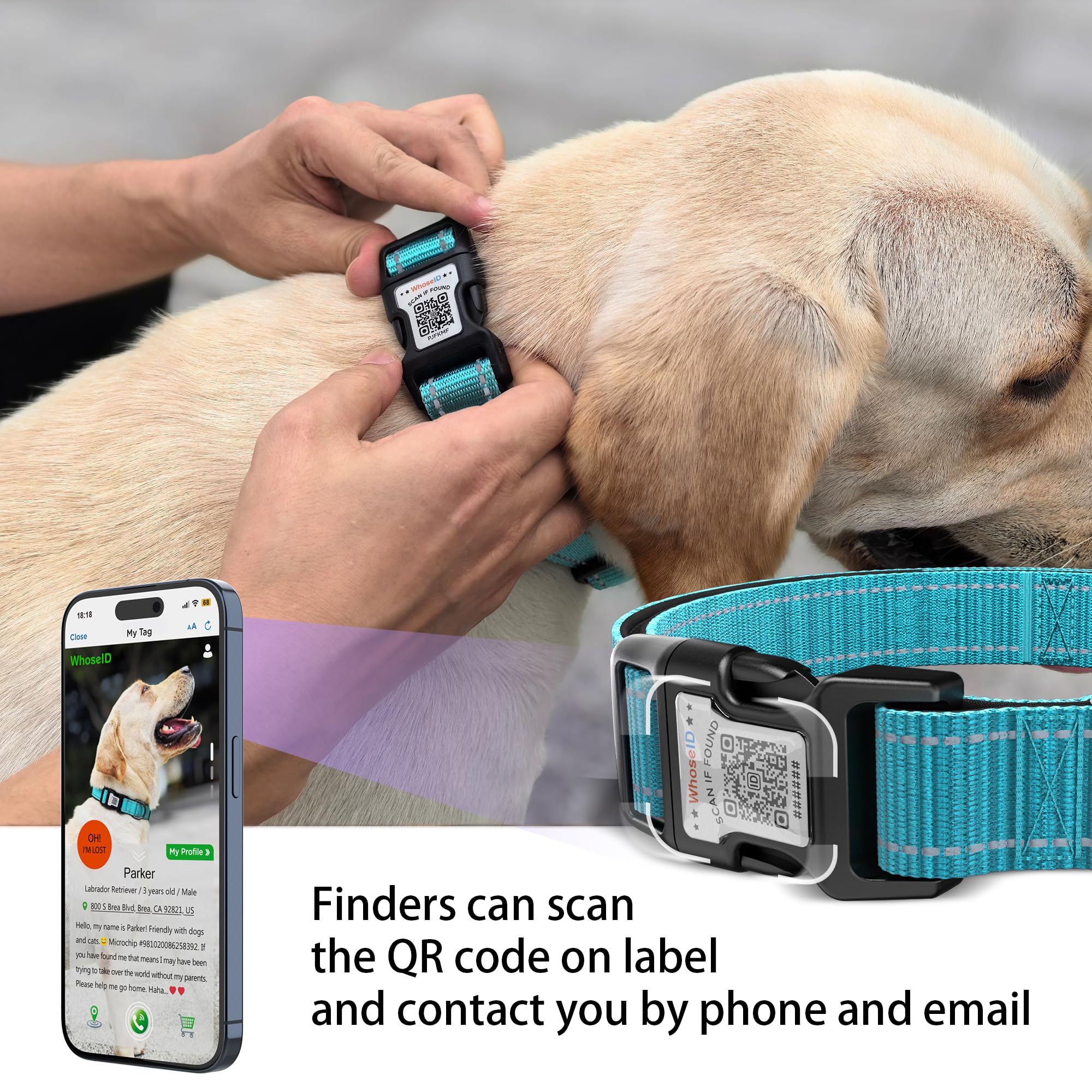Dog Collar With Qr Code, Reflective Pet Collar, Soft Neoprene Padded & Safety Locking Buckle Adjustable Puppy Collar (Xs,Blue)