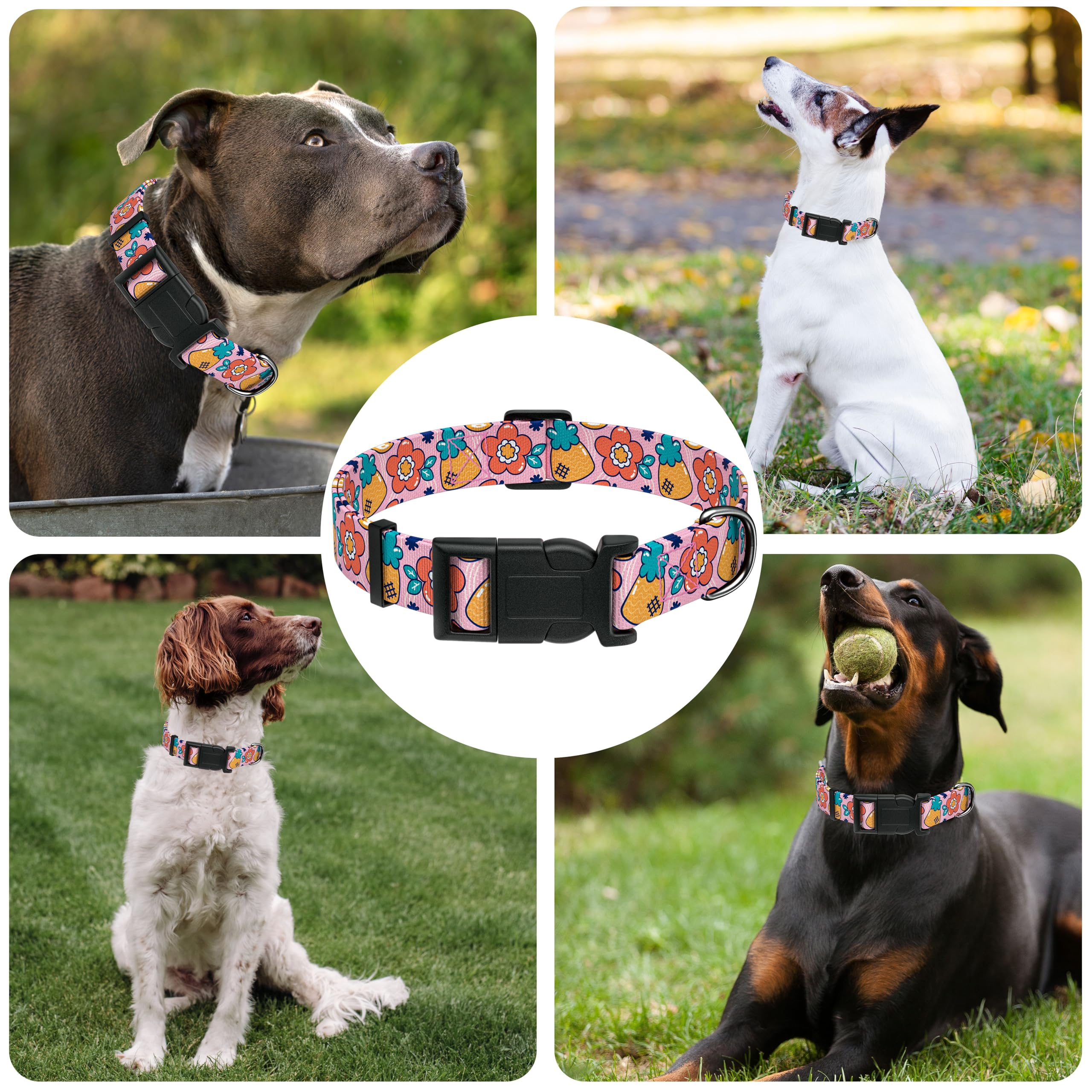 Seyezo Dog Collar, Cute Cartoon Fruit Boys Girls Puppy Collar For Small Medium Large Dogs, Adjustable Soft Pet Collar With Safet