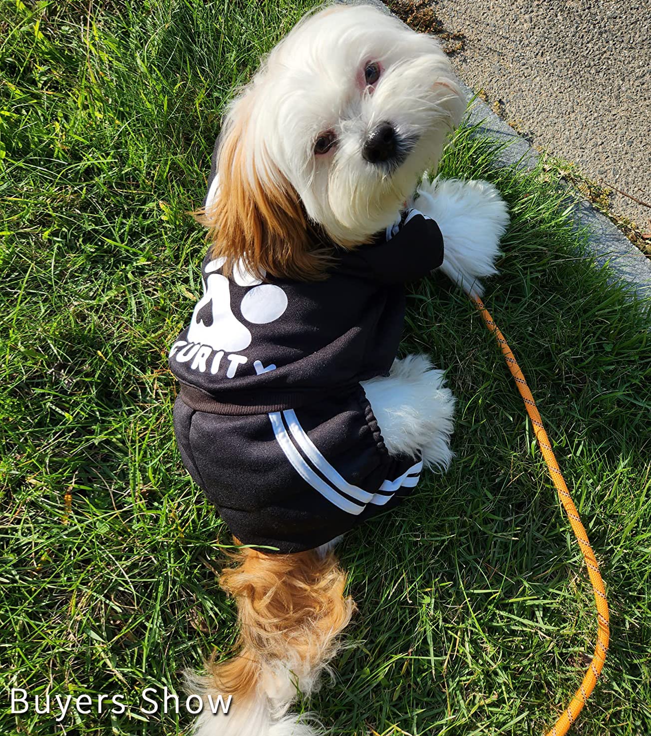 Otunrues Dog Hoodies, Dog Clothes Pullover 4 Legs Dog Jumpsuit Sweatshirt Security Patterns Outfit Doggie Winter Coat Cotton Puppy Hoodied For Small Medium Large Dogs Cats(Black,M)