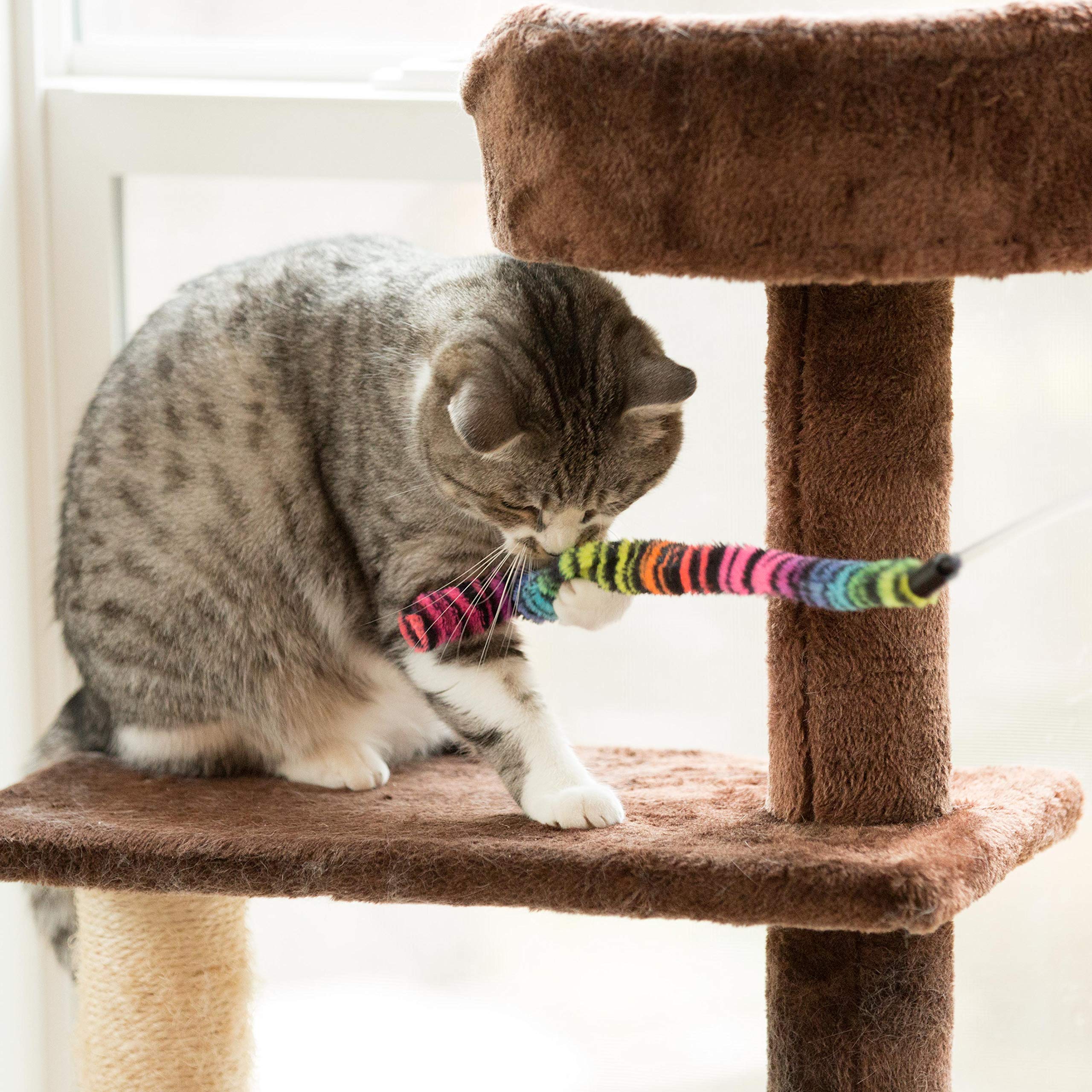 Sillypet Youngever 12 Pieces Cat Toys Teasing Feather Toy, Retractable Wand With Assorted Teaser Refills, Interactive Feather Teaser Wand Toy Bell Kitten Cat Having Fun Exerciser Playing