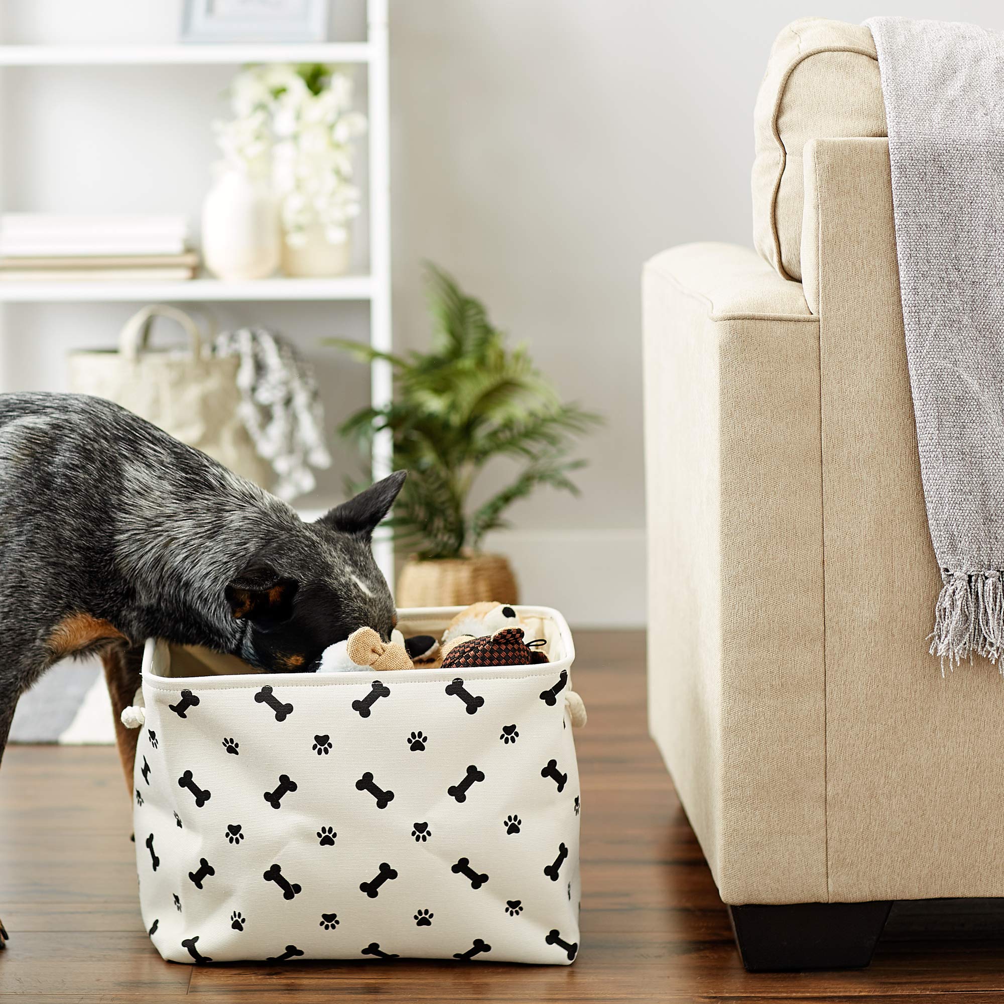 Bone Dry Pet Storage Collection Paw and Bone Print, Medium Rectangle, 16x10x12, Black