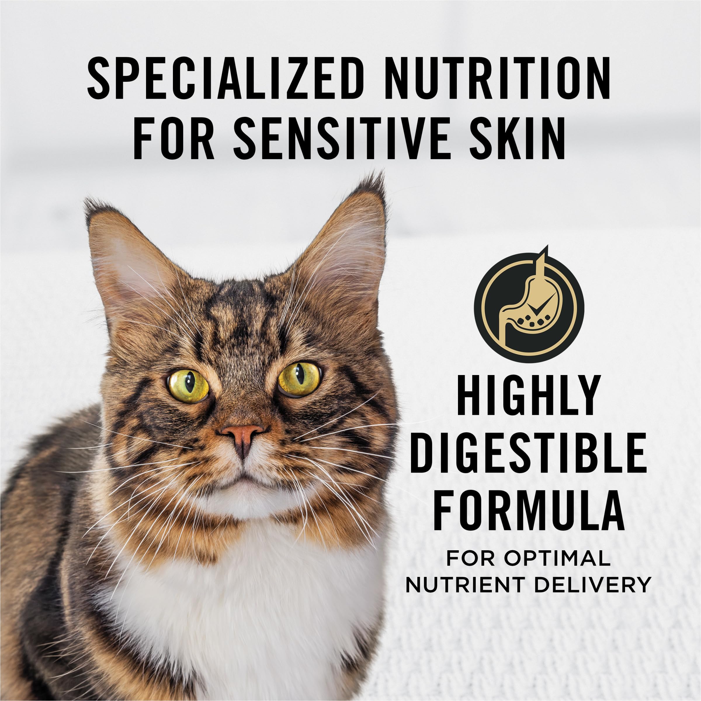 Purina Pro Plan With Probiotics, Sensitive Skin & Stomach, Natural Dry Cat Food, Turkey & Oat Meal Formula - 5.5 lb. Bag