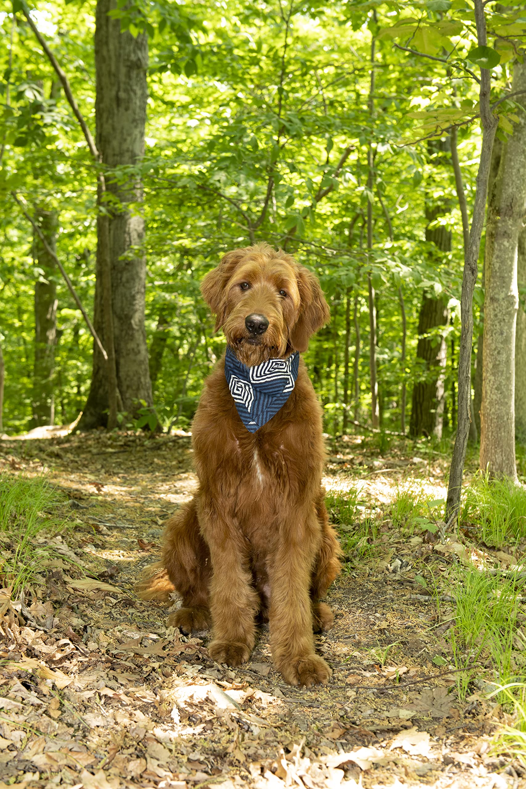 Dog Gone Smart Pet Products Unbugz-It Bandana, X-Large, Square Blue (16'' X 10'')