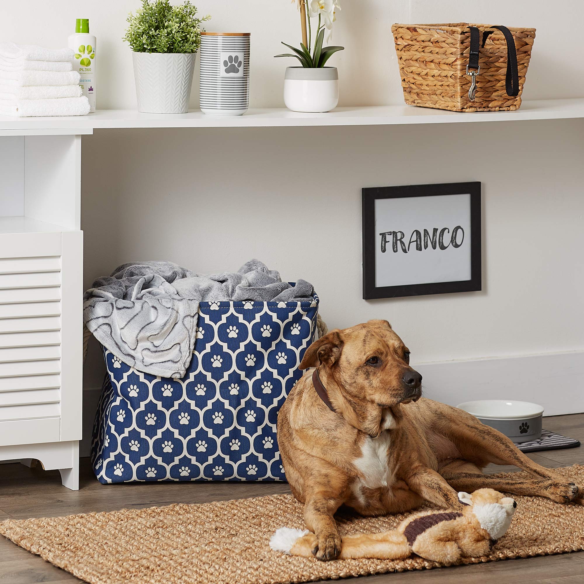 Bone Dry Pet Storage Collection Lattice Paw Print, Large Rectangle, Nautical Blue