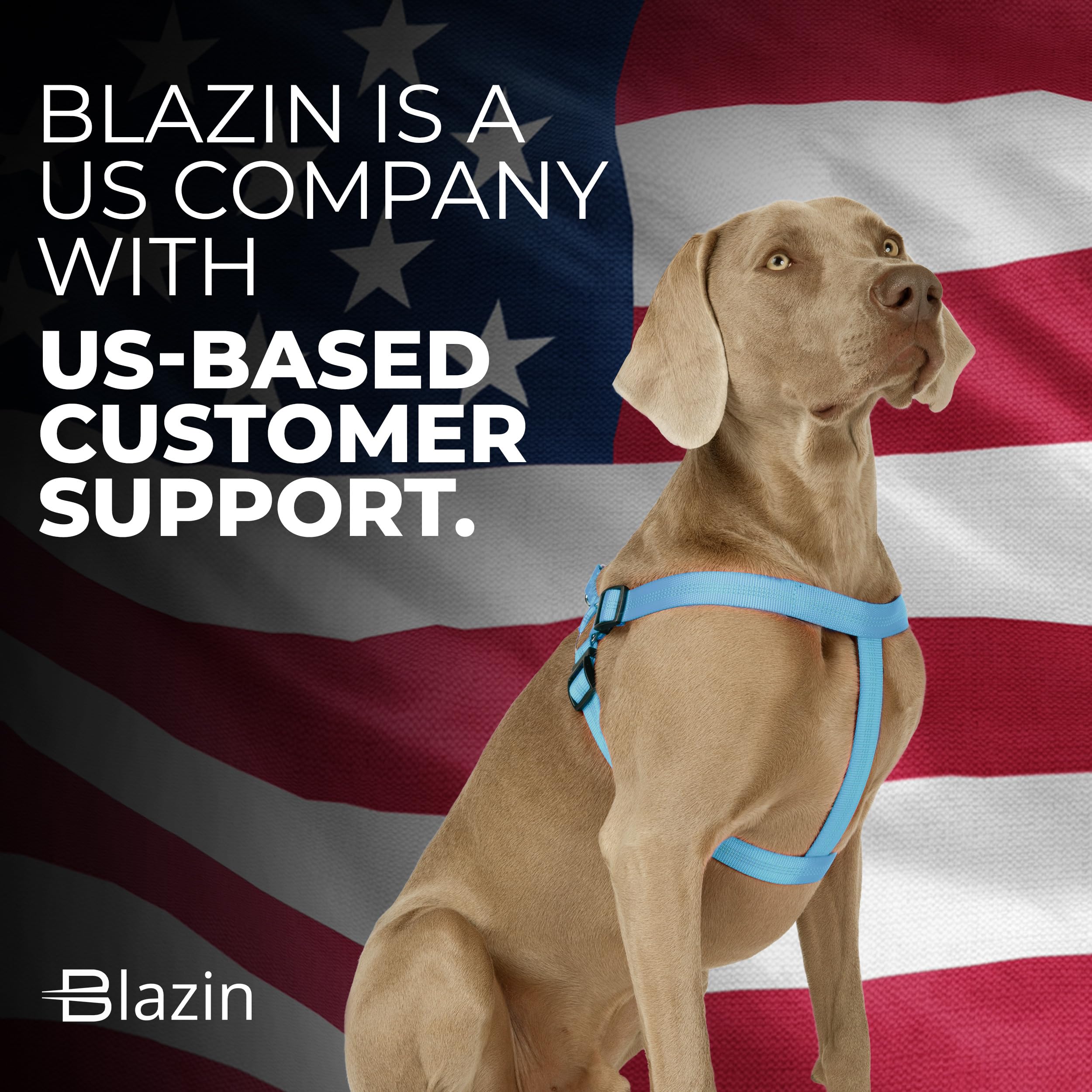 Blazin No Pull Dog Harness - Adjustable Step-In Reflective Nylon Vest Harness - Neoprene Padded For Extra Comfort (Small, Blue)