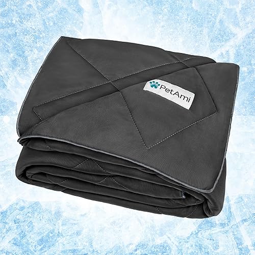 Petami Premium Cooling Dog Blanket | Lightweight Fluffy Pet Throw Blanket Bed Cover For Dogs, Cat, Puppies | Pet Blanket Furniture Protector Couch Sofa | Reversible Fuzzy Cozy | 29X40, Grey