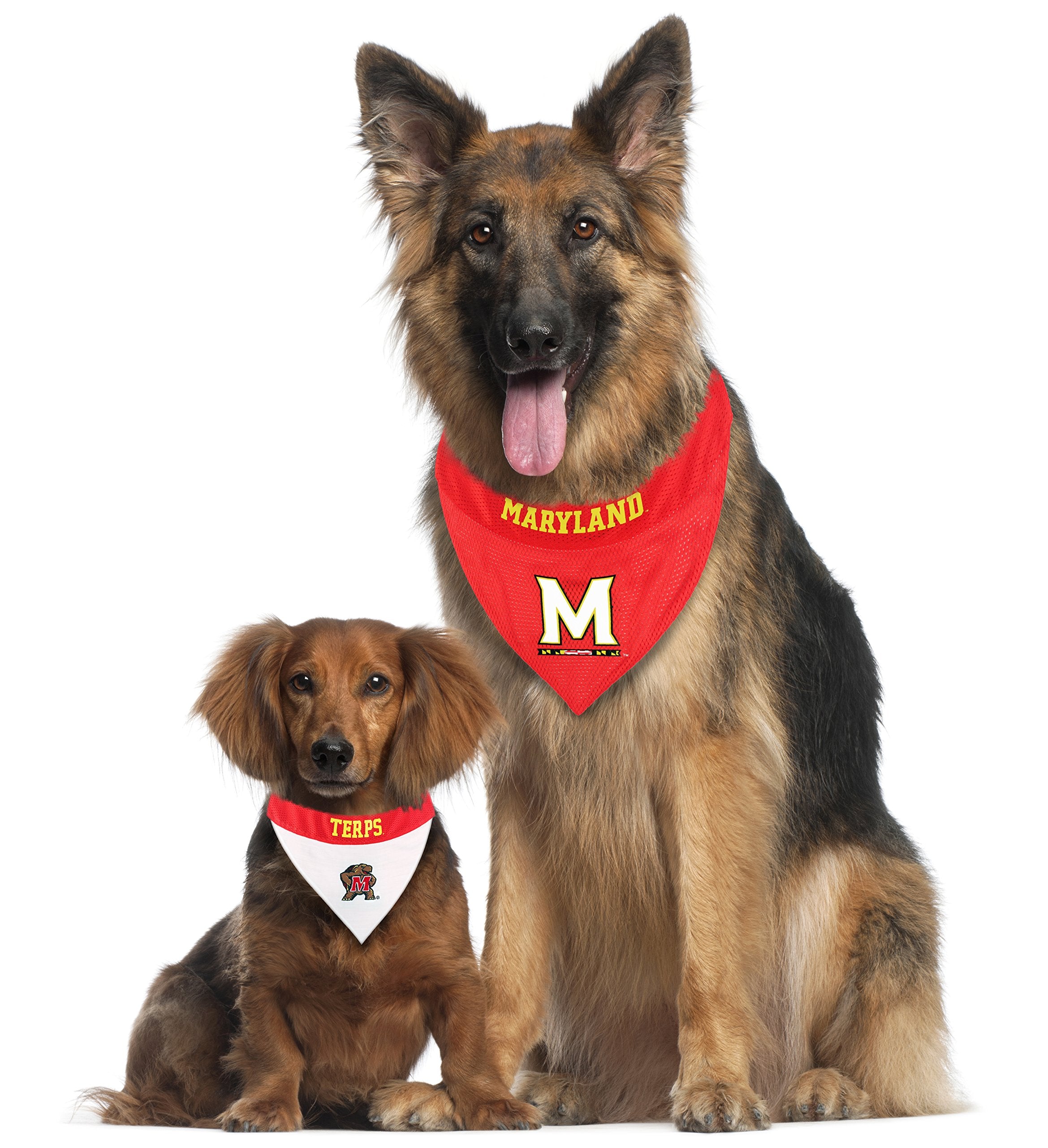 Pets First Collegiate Pet Accessories, Reversible Bandana, Maryland Terrapins, Small/Medium