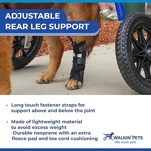 Walkin Rear No-Knuckling Training Sock  Helps Dogs Pick up Their Feet When Knuckling Under or Dragging Their Rear Paws