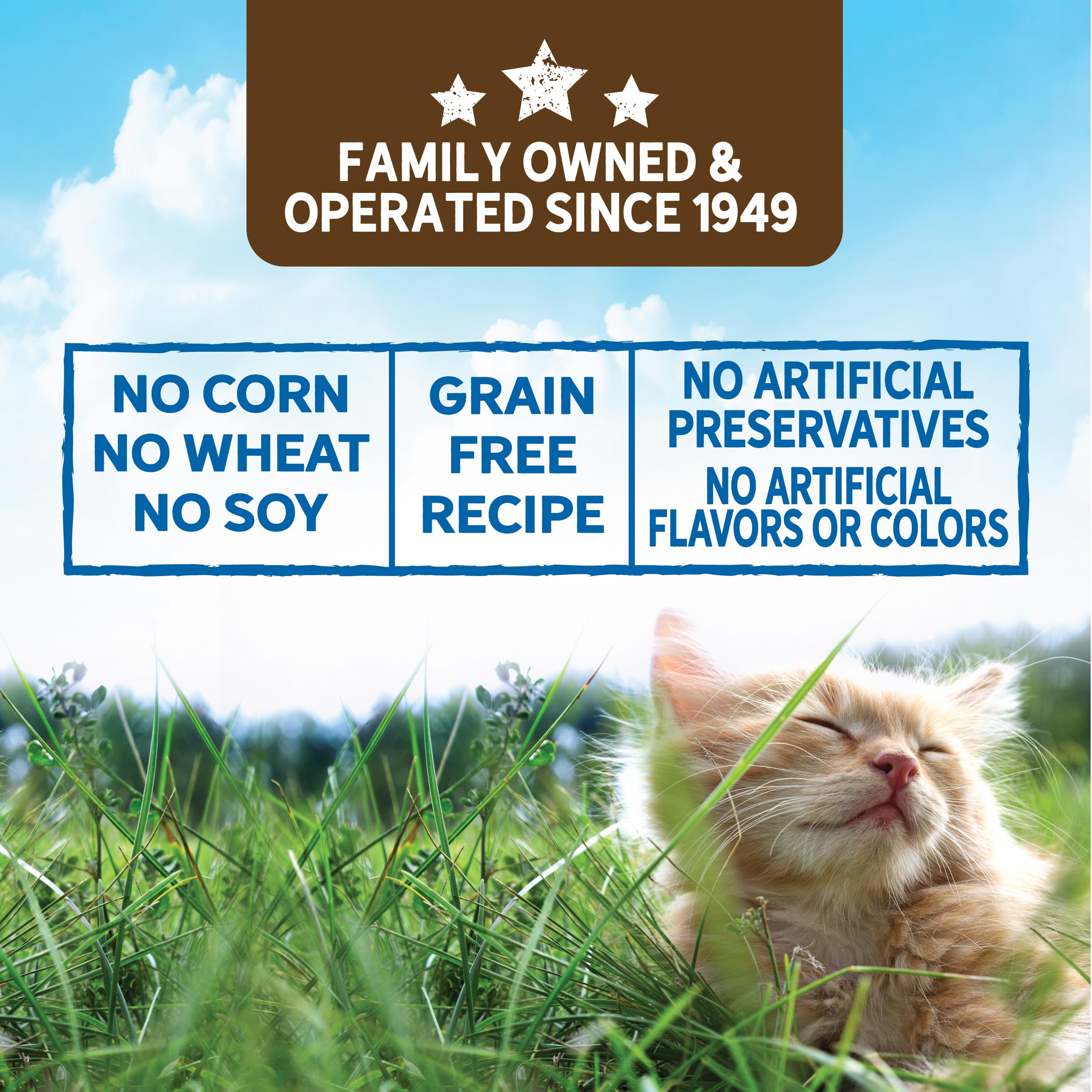 Evolve Grain Free Chicken & Beef Recipe in Gravy Wet Cat Food | 3 oz - 24 pk
