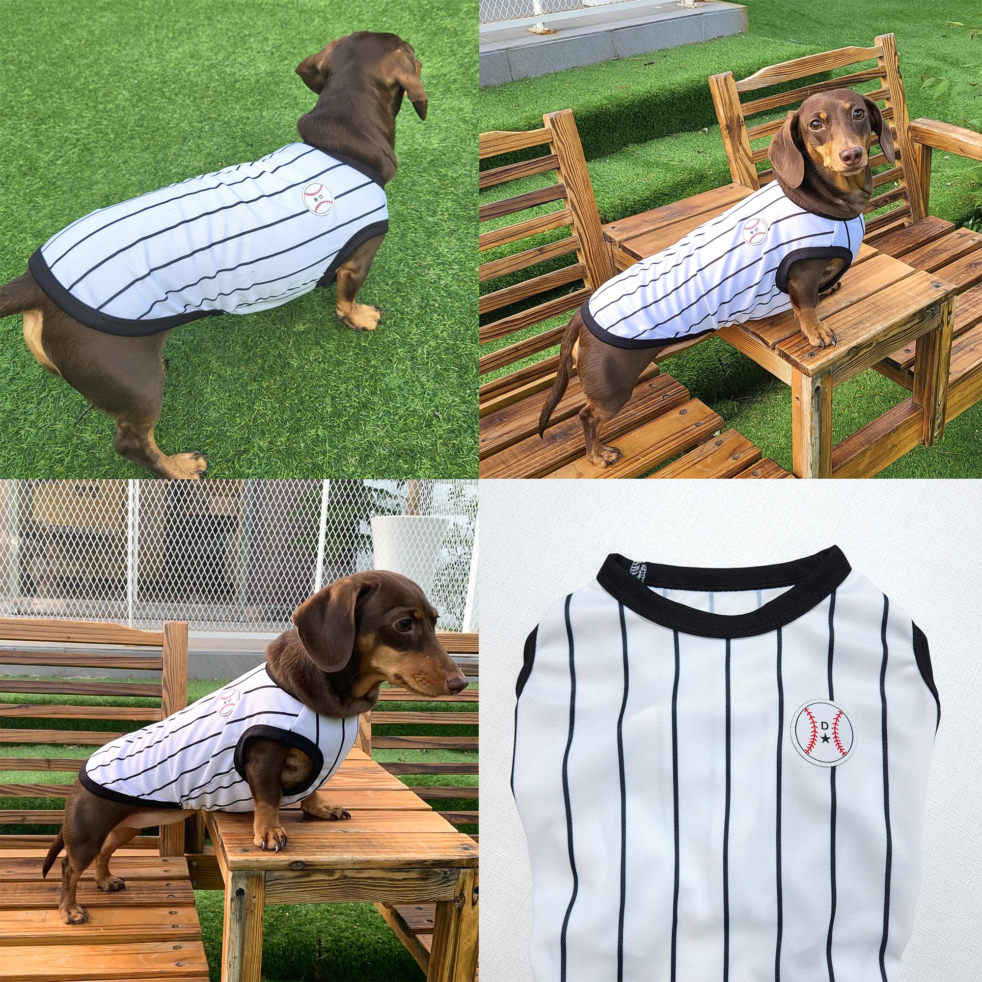 D Doggy Star Dachshund Clothes For Dogs Baseball Mini And Adults T Shirts (S,Baseball Black)