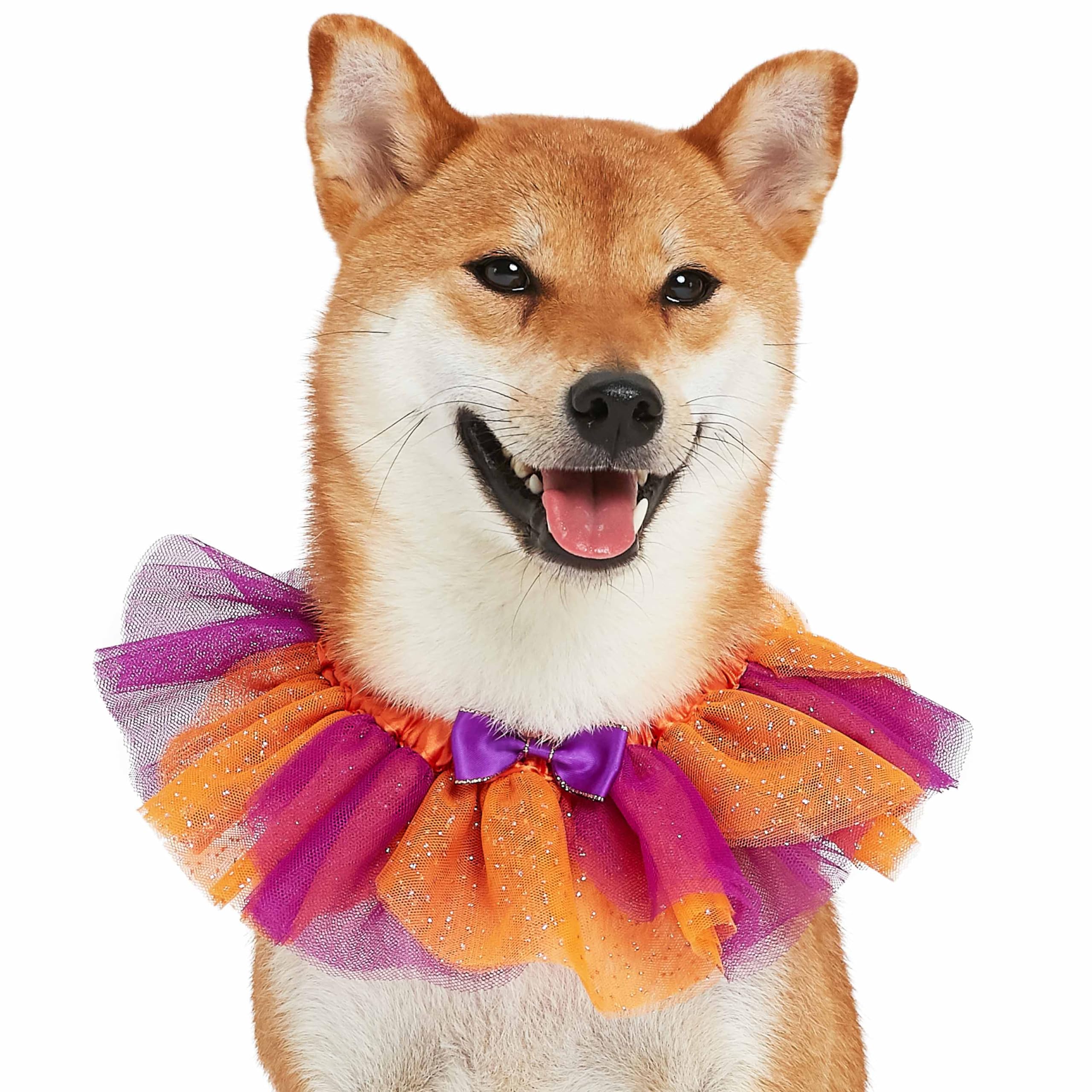 Blueberry Pet Halloween Party Adjustable Breakaway Costume Dog Collar In Warm Tone, Medium