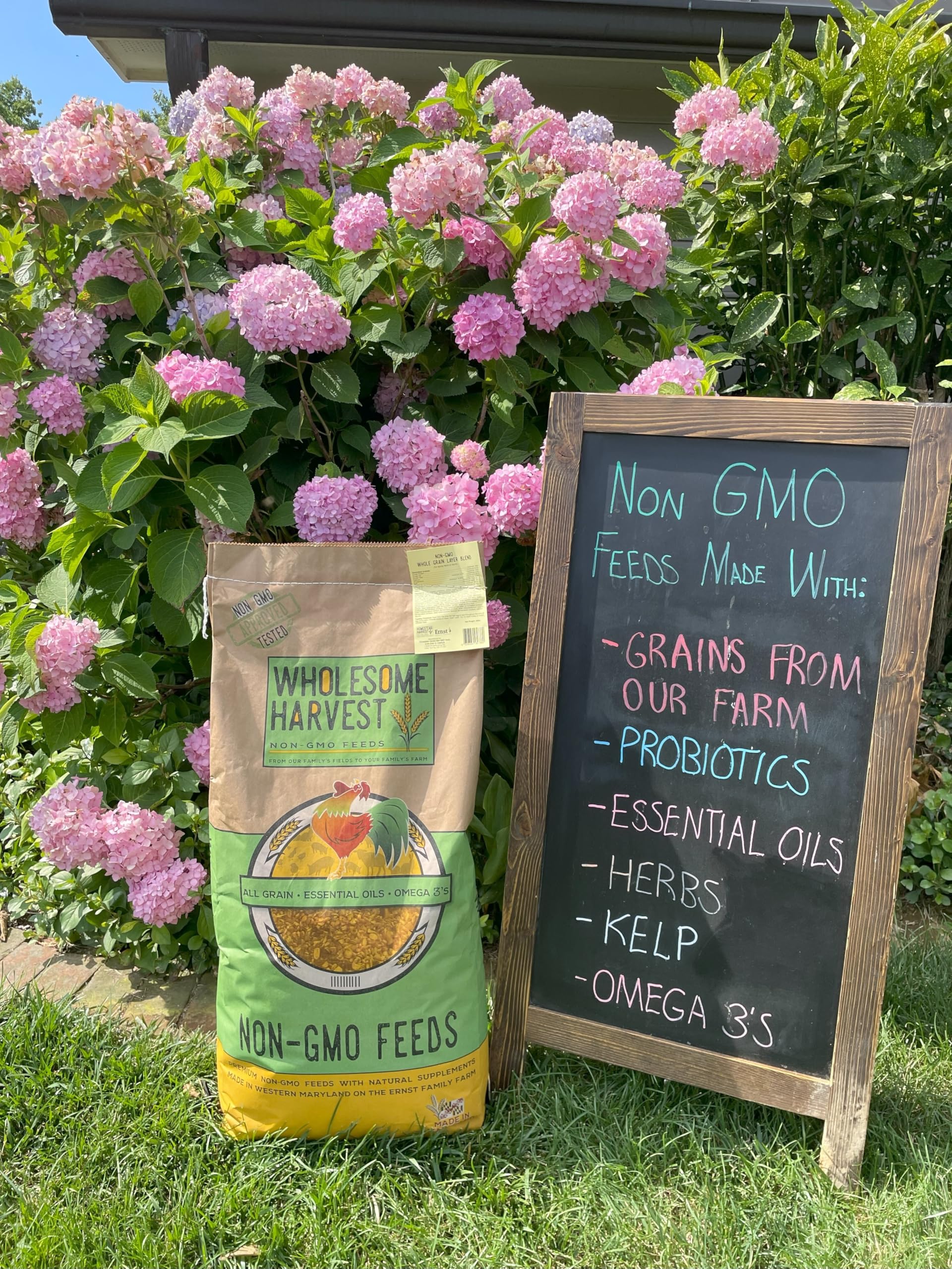 Wholesome Harvest Corn & Soy-Free Chick Starter Feed - Non-GMO, High-Protein 22%, 10 lb