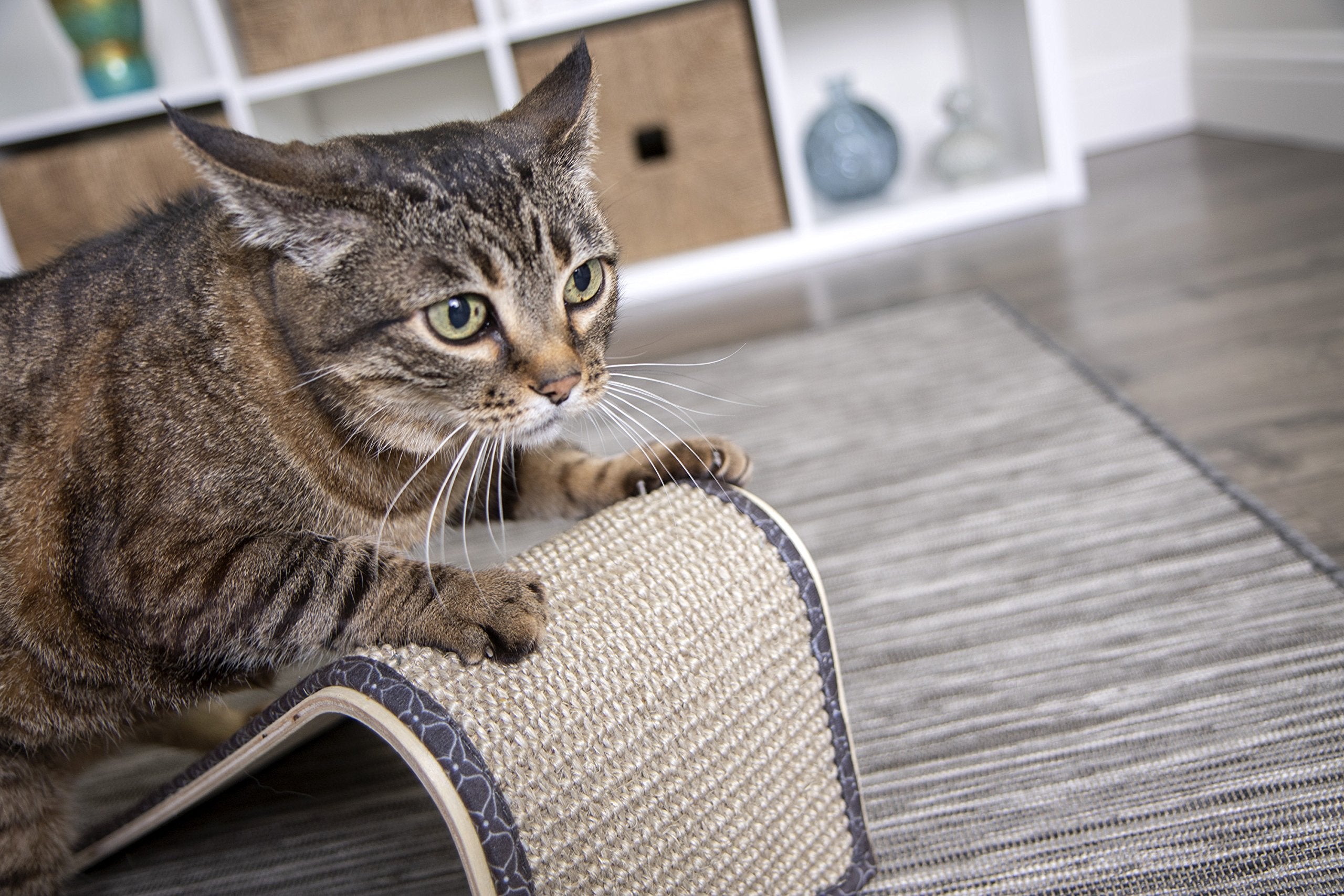 Smartykat Sisal Angle Cat Scratch Ramp, Includes Catnip - Natural, One Size