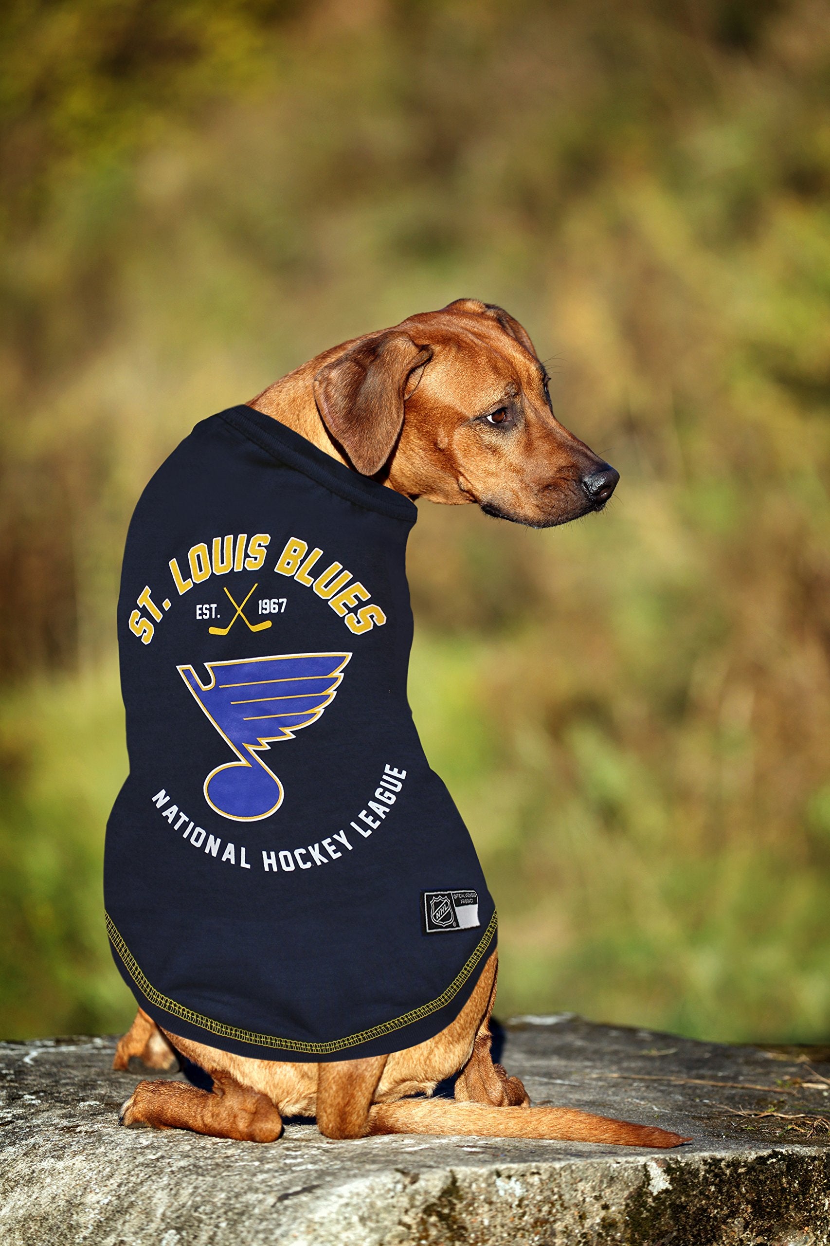 Pets First NHL St.Louis Blues Tee Shirt for Dogs & Cats, Small. - are You A Hockey Fan? Let Your Pet Be an NHL Fan Too!
