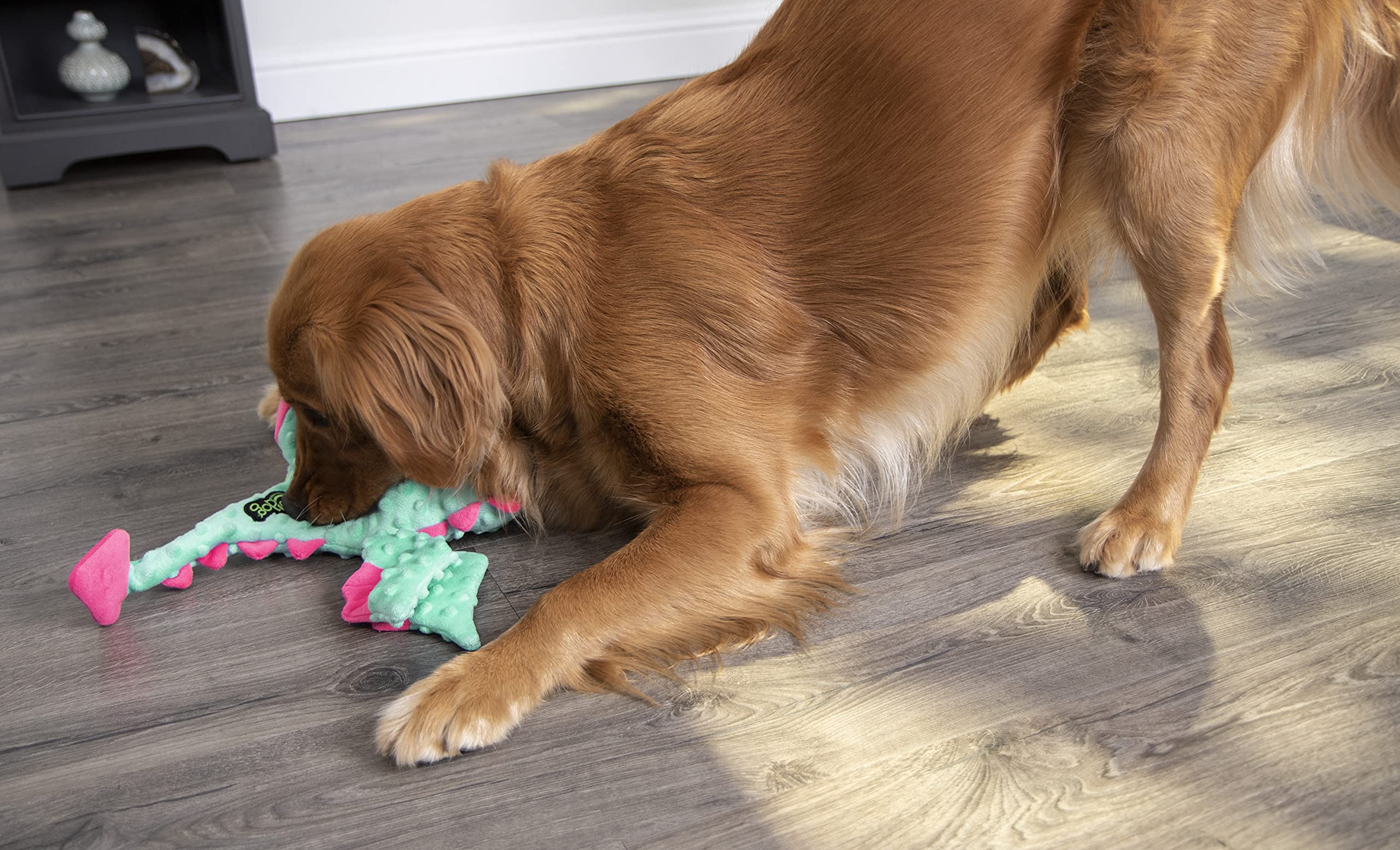goDog Dragons Squeaky Plush Dog Toy - Chew Guard Technology, Durable Polyester, Large, Seafoam, Model 77793