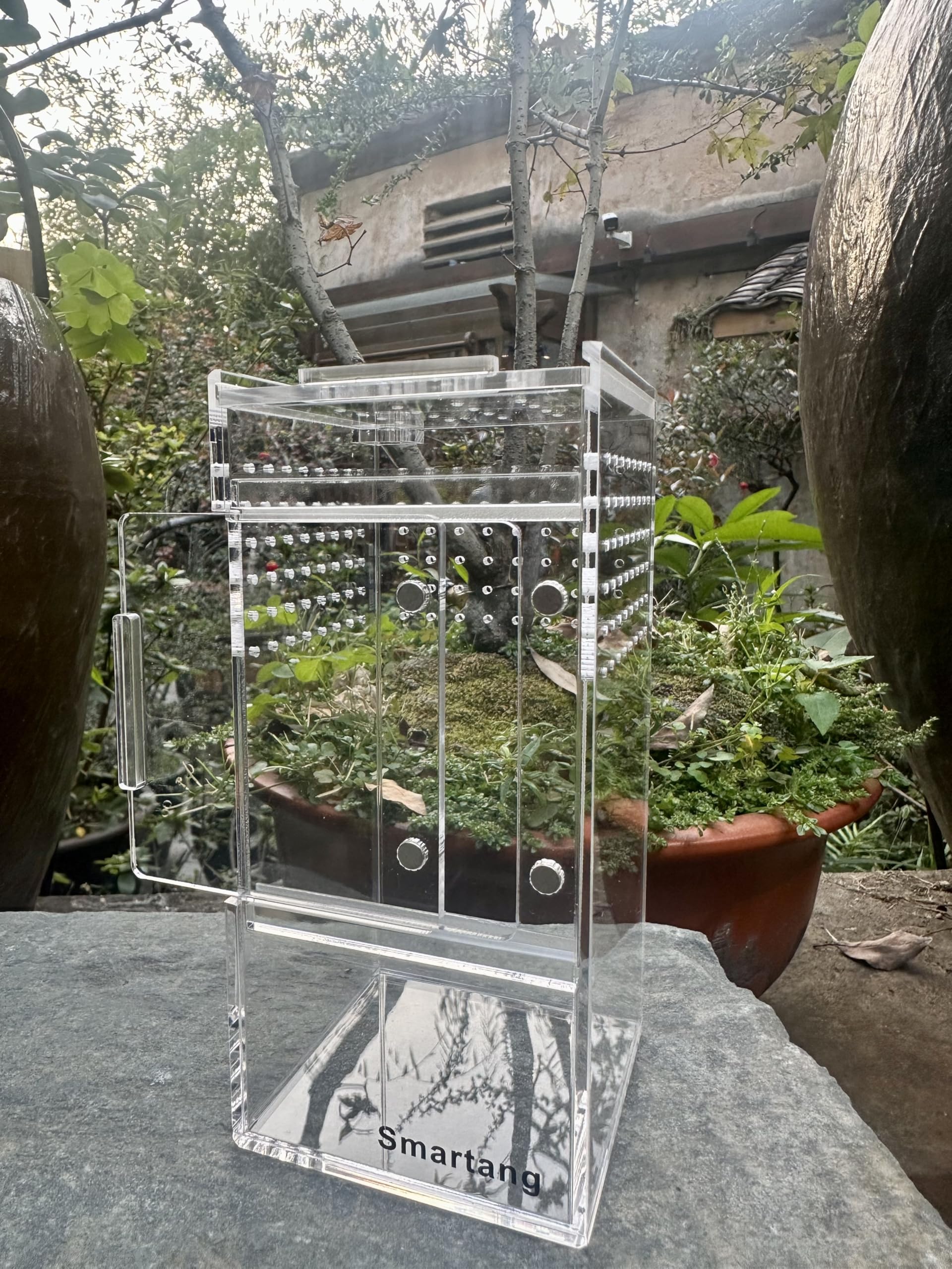 Jumping Spider Enclosure,Arboreal Tarantula Enclosure,Spider Habitat,Praying Mantis Habitat,Frog Enclosure,Insect Terrarium Bug 