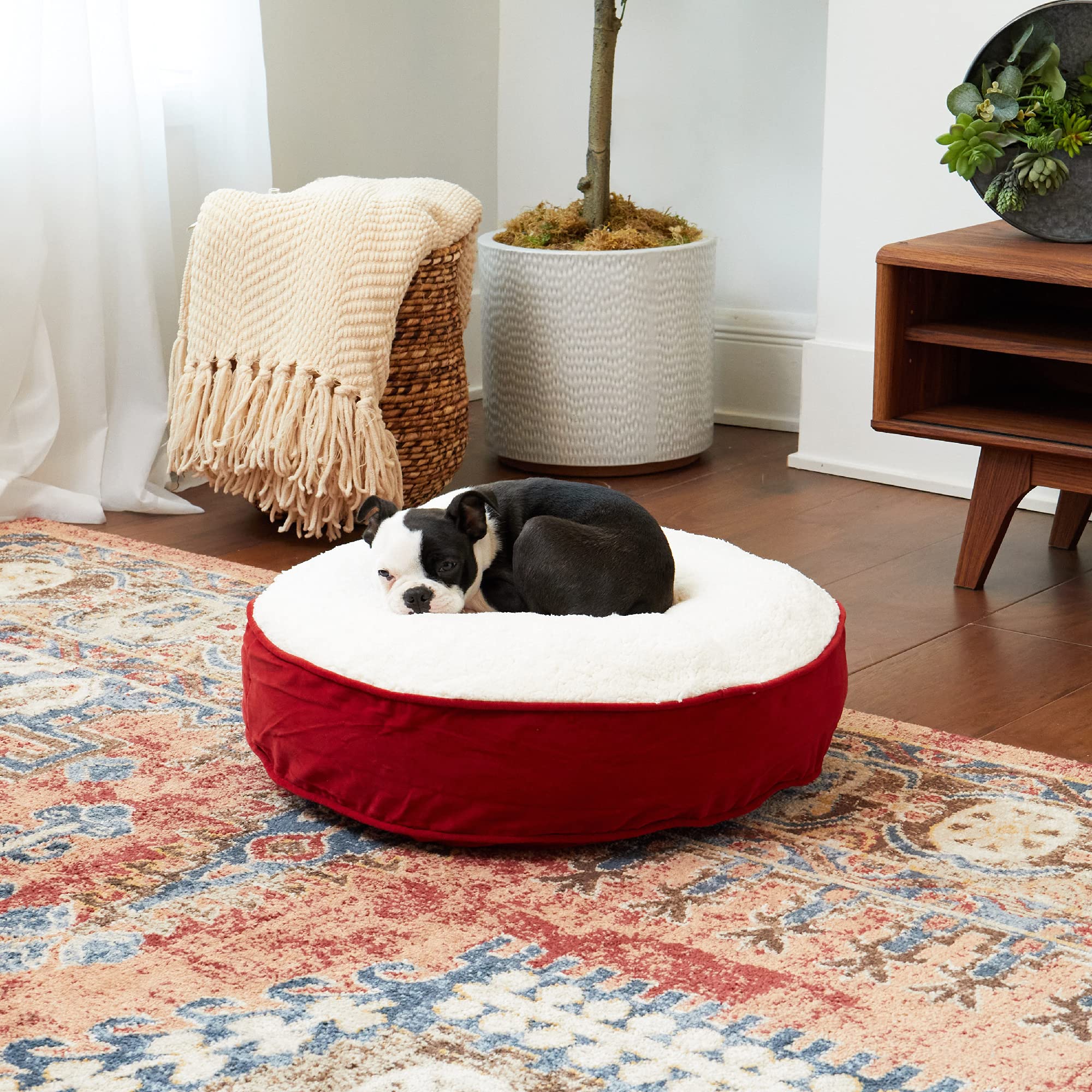 Happy Hounds Scout Deluxe Round Pillow Style Sherpa Dog Bed, Extra Small (24 X 24 In.), Red