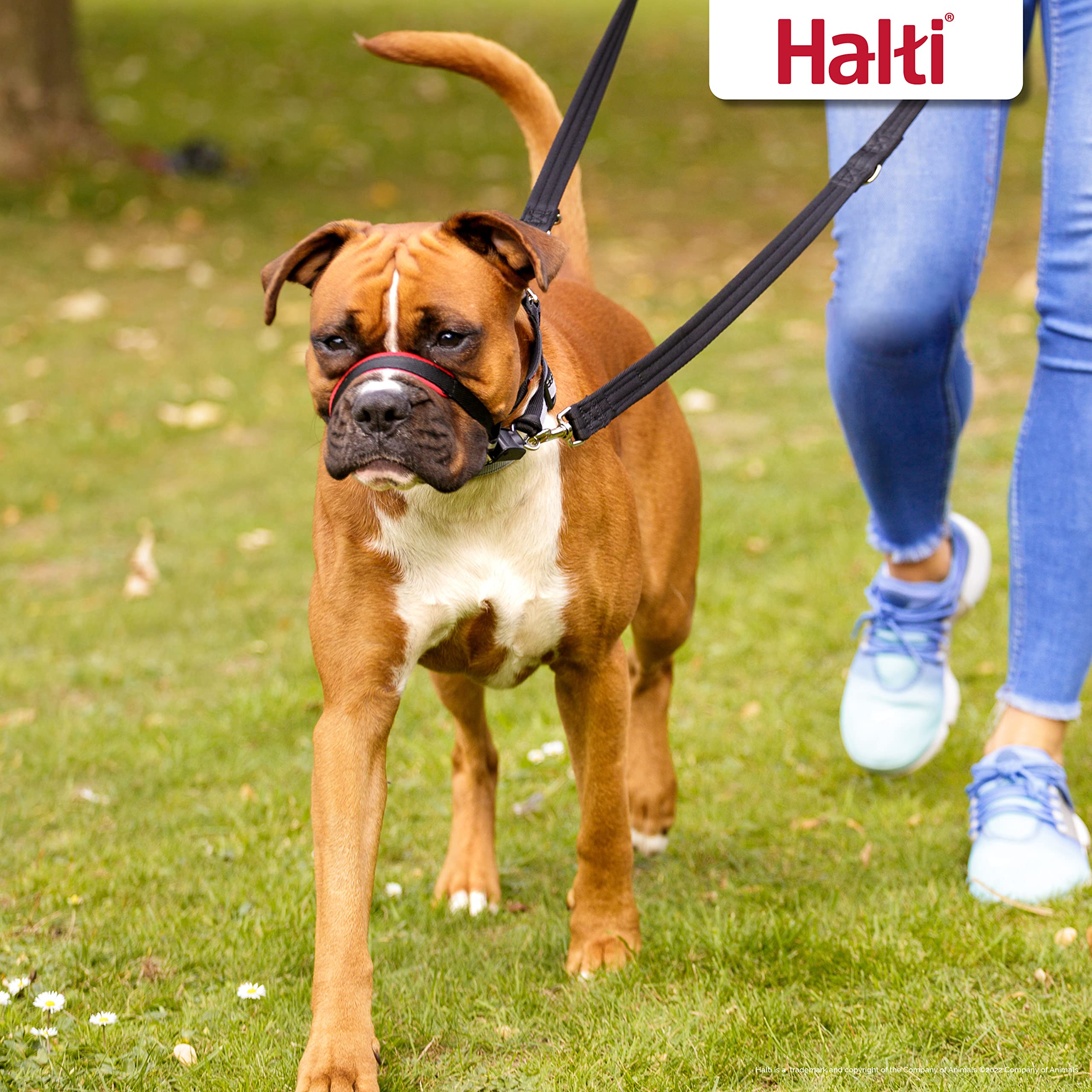 HALTI Optifit Headcollar Size Large & HALTI Training Leash Size Large, Black Combination Pack - Stop Your Dog Pulling on the Lea