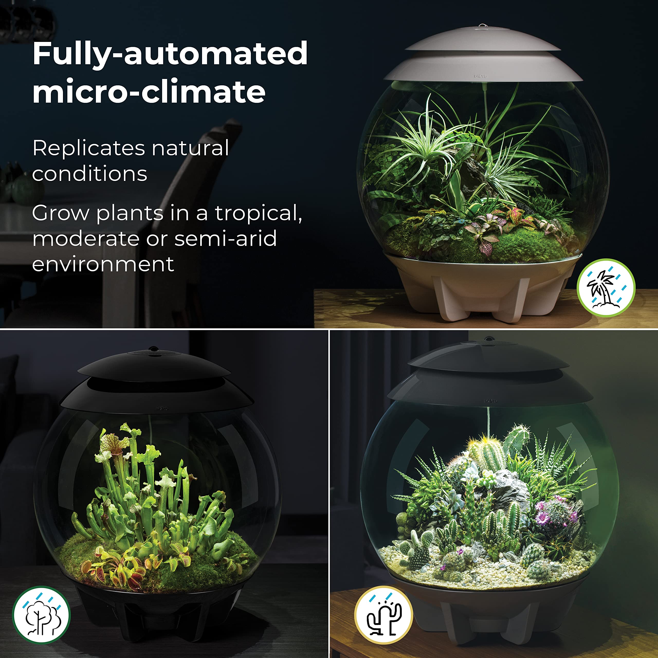biOrb AIR 30, Fully Automated Terrarium for Arid, Temperate, or Tropical Plants, White