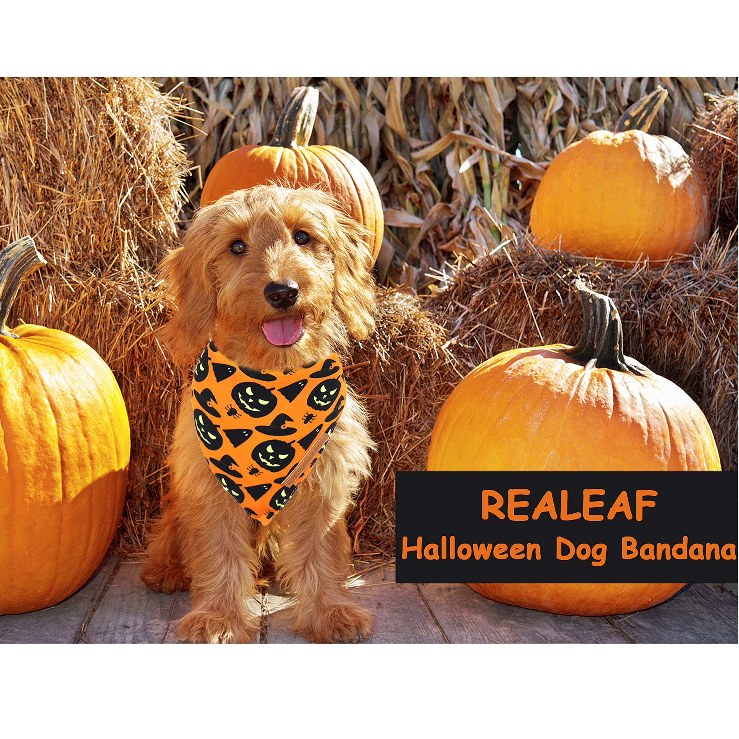 Realeaf Halloween Dog Bandanas 2 Pack, Pumpkin And Spider Web Bibs, Triangle Reversible Fall Pet Scarf, Multiple Sizes Offered, Premium Durable Fabric, Adjustable Fit