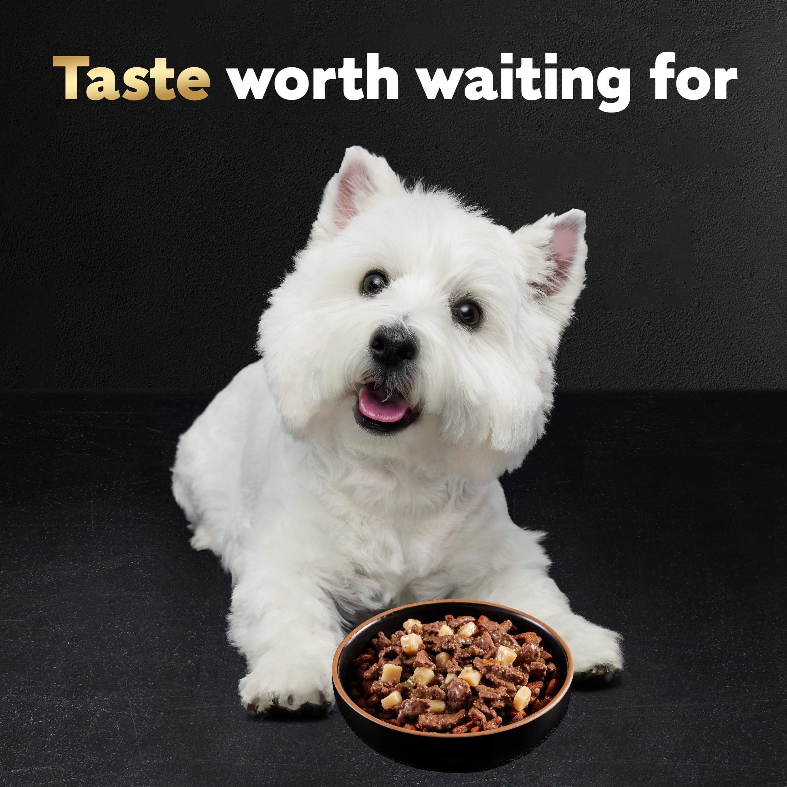 CESAR HOME DELIGHTS Adult Wet Dog Food & Classic Loaf in Sauce Variety Pack, 3.5 oz. Easy Peel Trays, Pack of 36