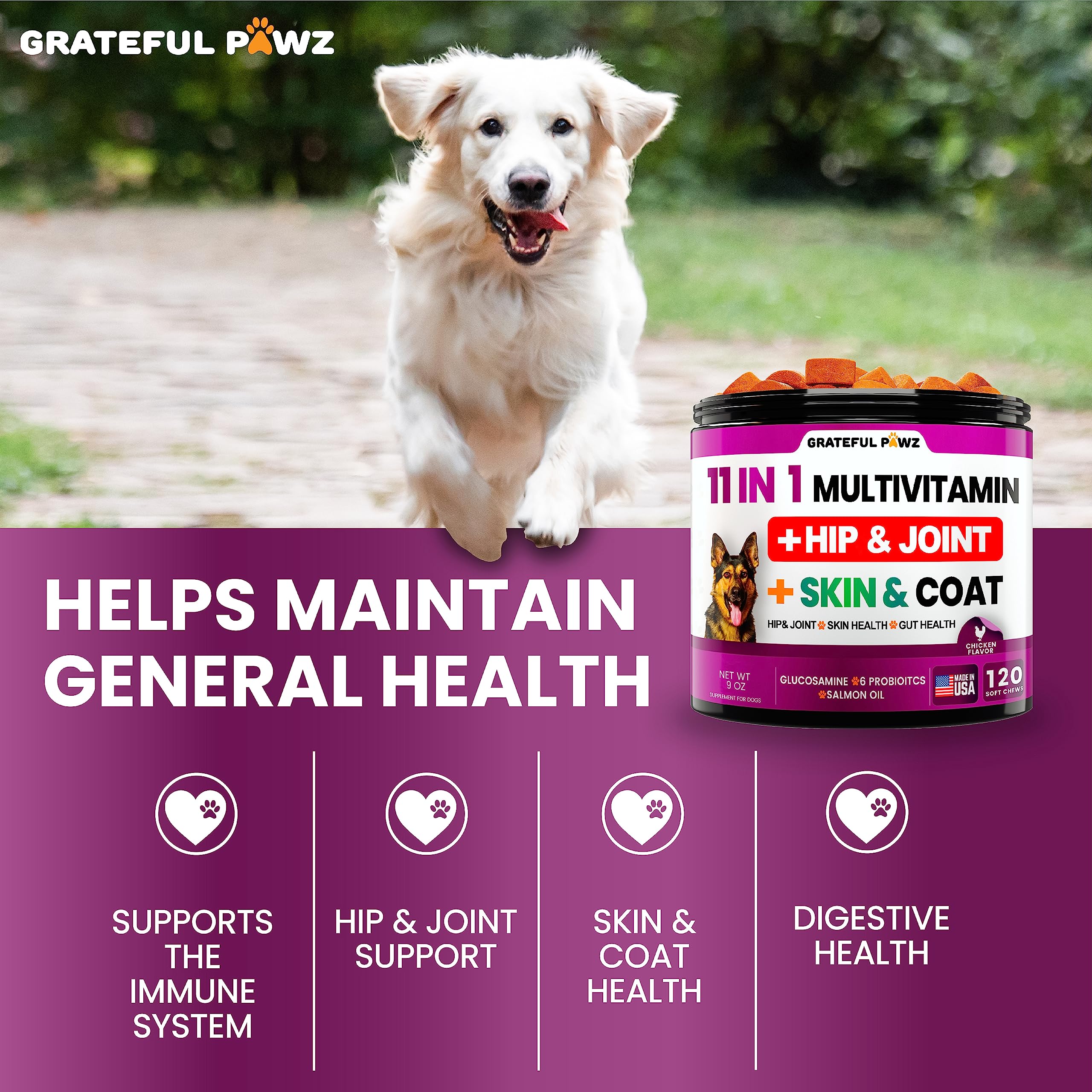 Dog Multivitamin Chewable with Glucosamine - Dog Vitamins and Supplements, Senior & Puppy Multivitamin for Dogs - Pet Chondroiti