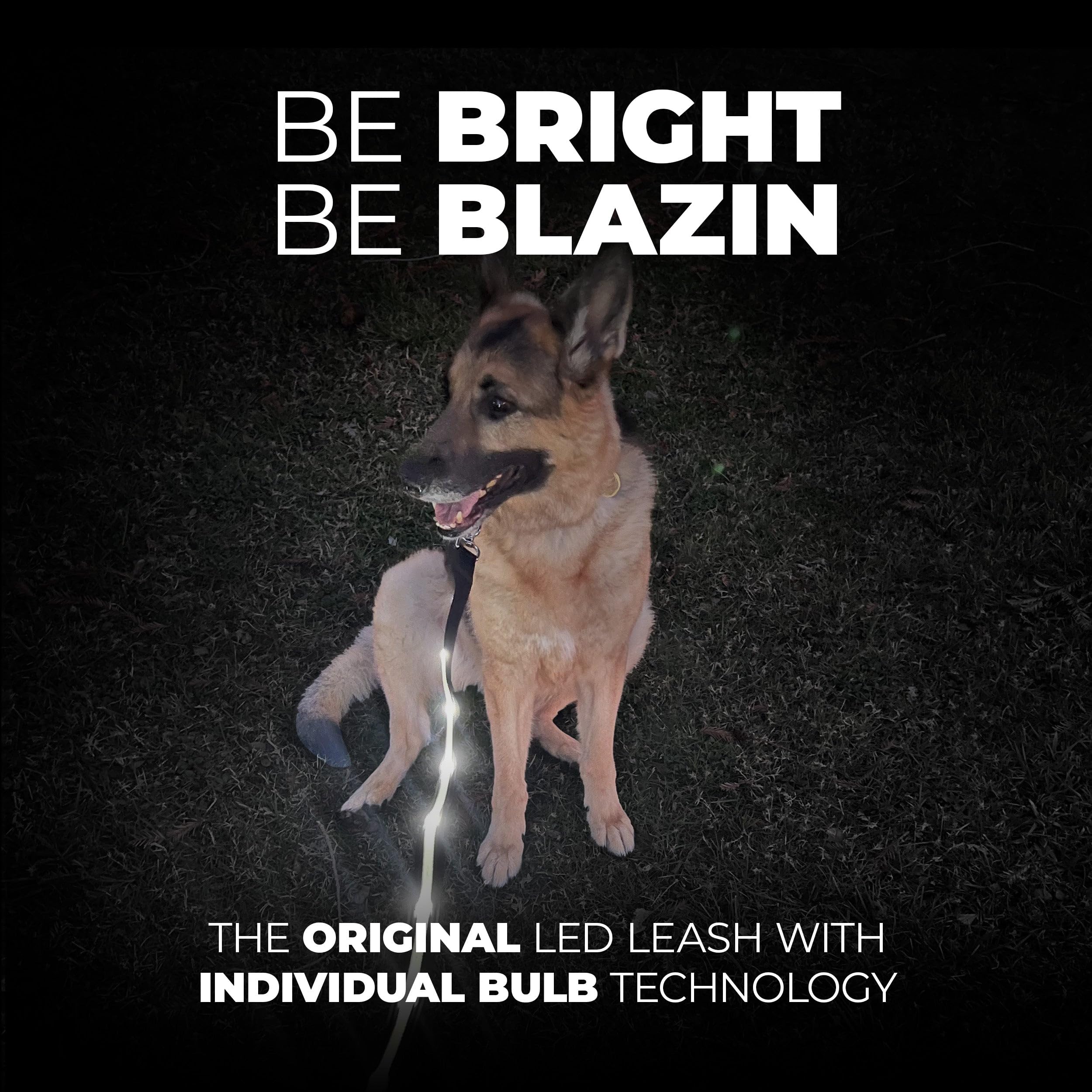 Blazin Light Up Led Dog Leash - 1,000 Feet Visibility - Usb Rechargeable, Waterproof, Glow In Dark - 4 Foot, Orange