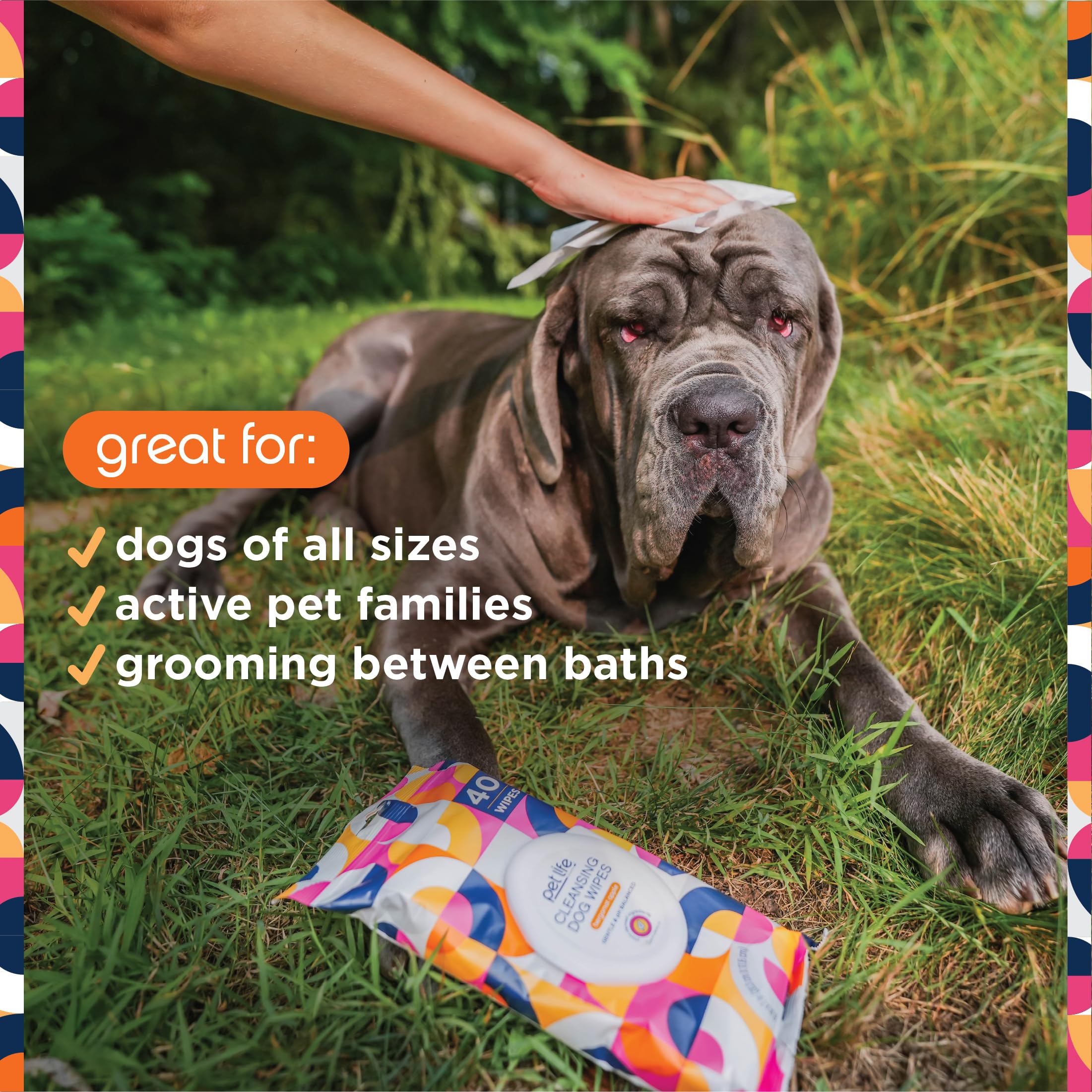 Pl360 Dog Grooming Wipes For Cleansing & Deodorizing | Pet Wipes For Dogs, Cats, Puppies & Kittens | Mandarin Scent | Eco Friendly, Natural And Safe Ingredients | 40 Count