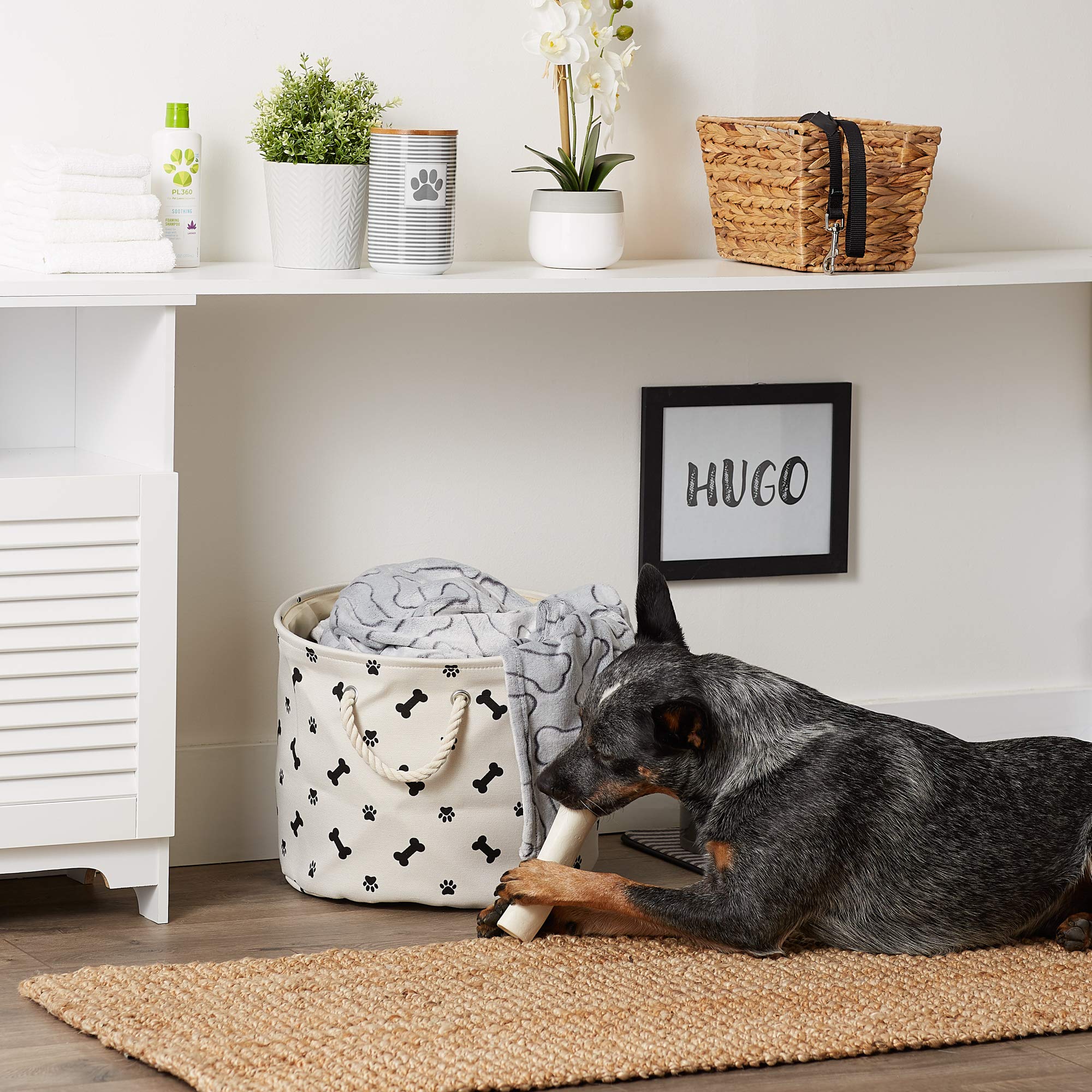 Bone Dry Pet Storage Collection Paw and Bone Print, Medium Round, 12x15x15, Black