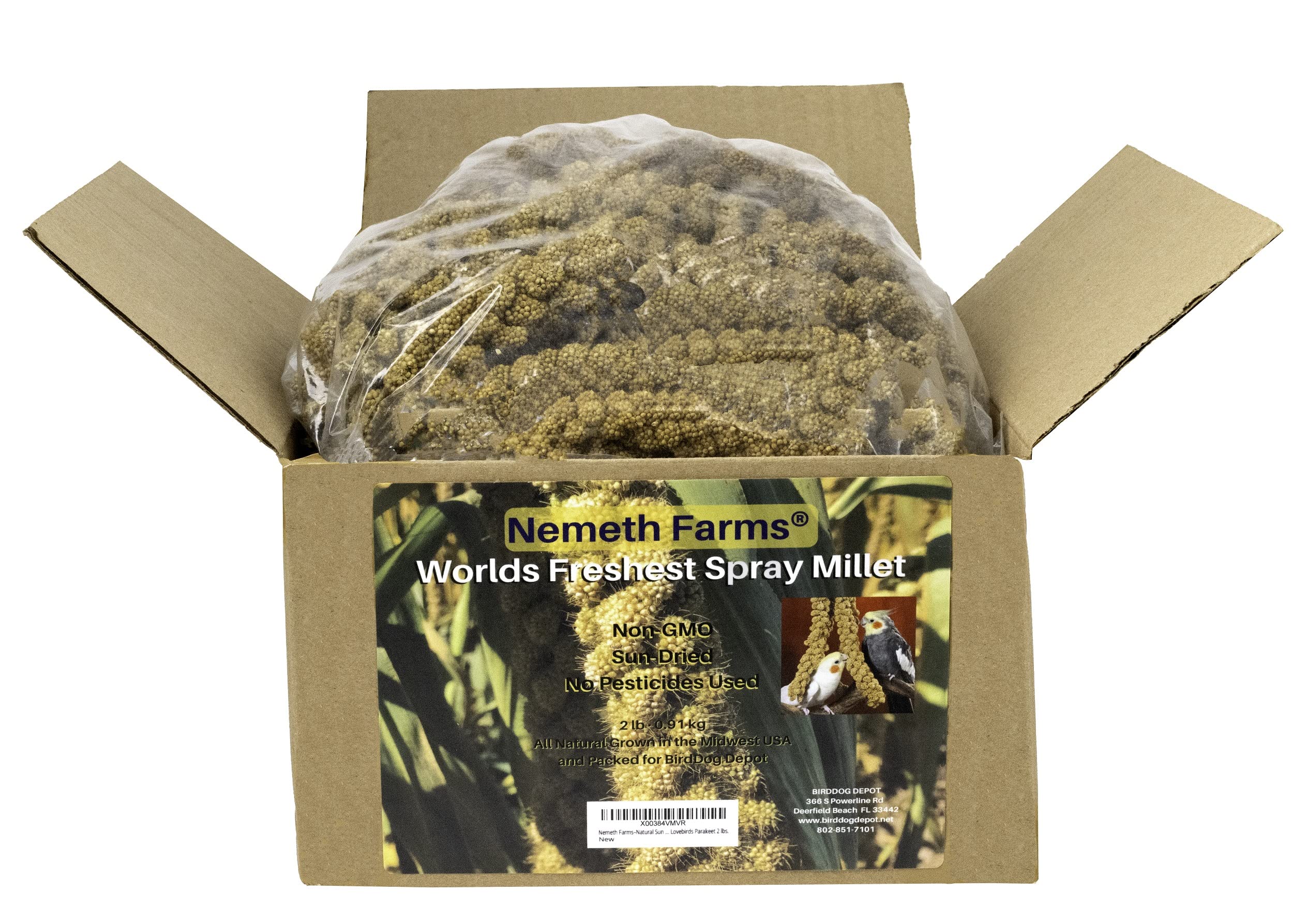 Nemeth Farms Natural Sun Dried Millet Spray for Pet Birds - Non-GMO Parrot Treats, 2 lb