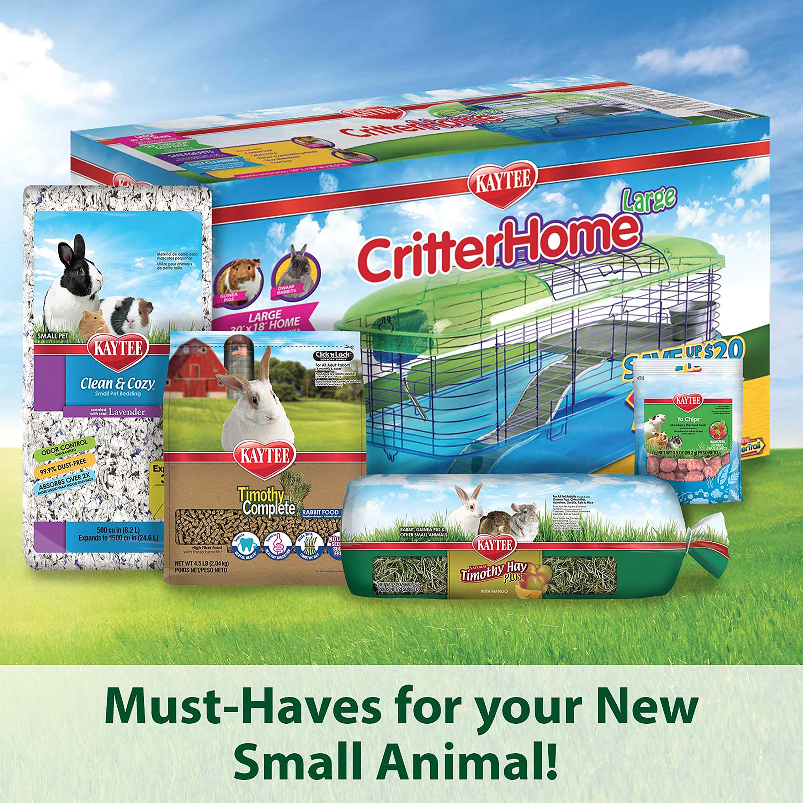 Kaytee 13 Clear Run-About Exercise Ball For Pet Rats & Chinchillas