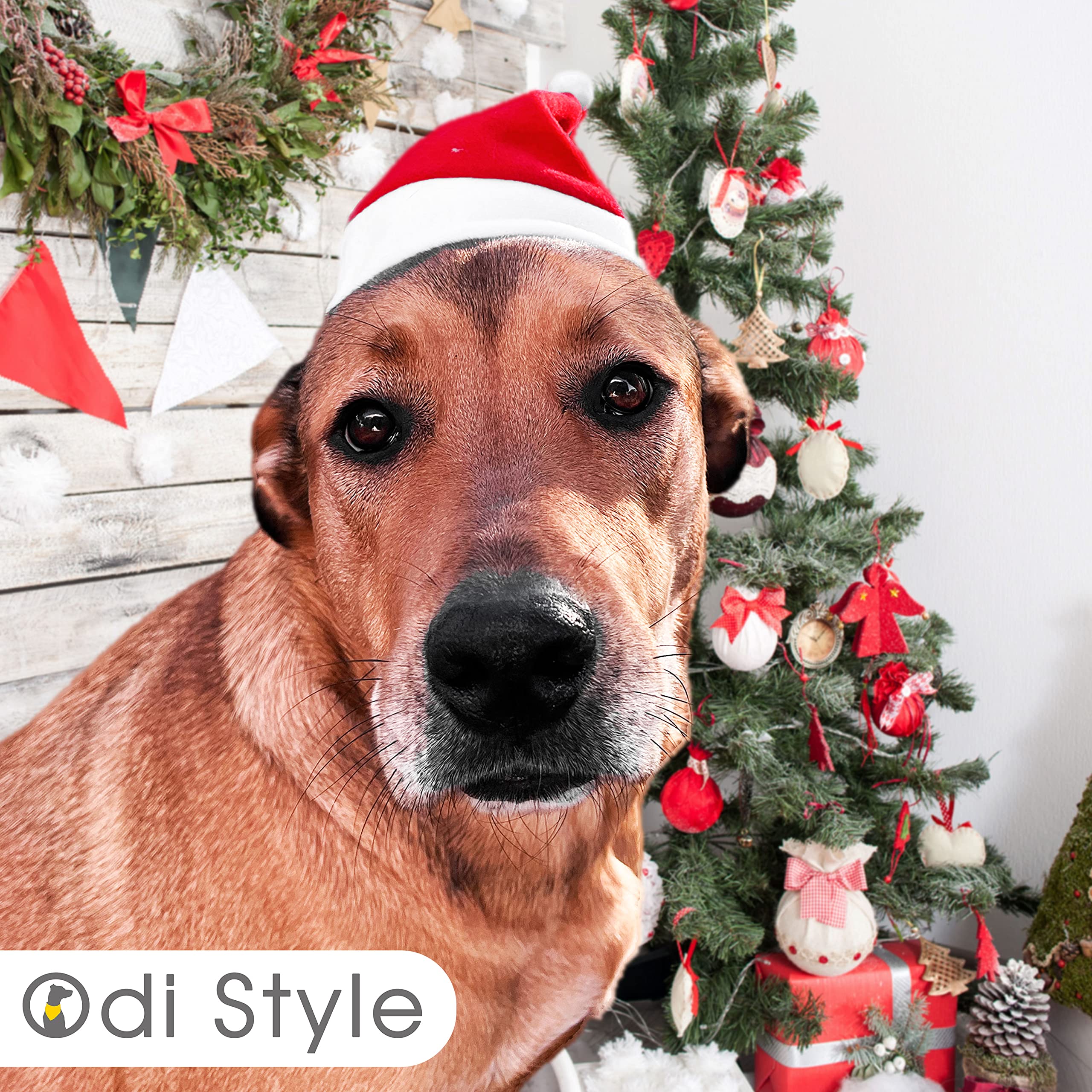 Odi Style Christmas Dog Hat - 2 Pack, Dog Santa Hat, Festive Christmas Holiday Outfit Costume Gifts For Dogs Cats, Holiday Pet Hat, Sliding Toggles For Best Fit