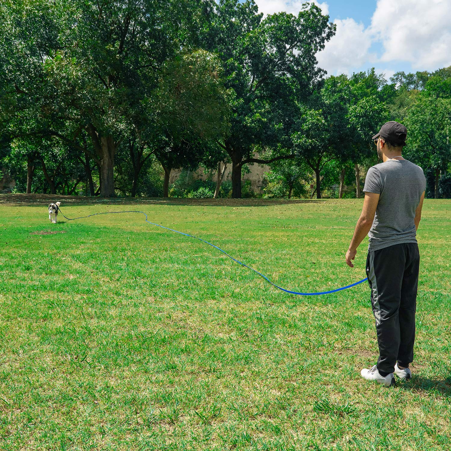 Hi Kiss Dog/Puppy Obedience Recall Training Agility Lead - 15Ft 20Ft 30Ft 50Ft 100Ft Training Leash - Great For Training, Play, Camping, Or Backyard - Orange 50Ft