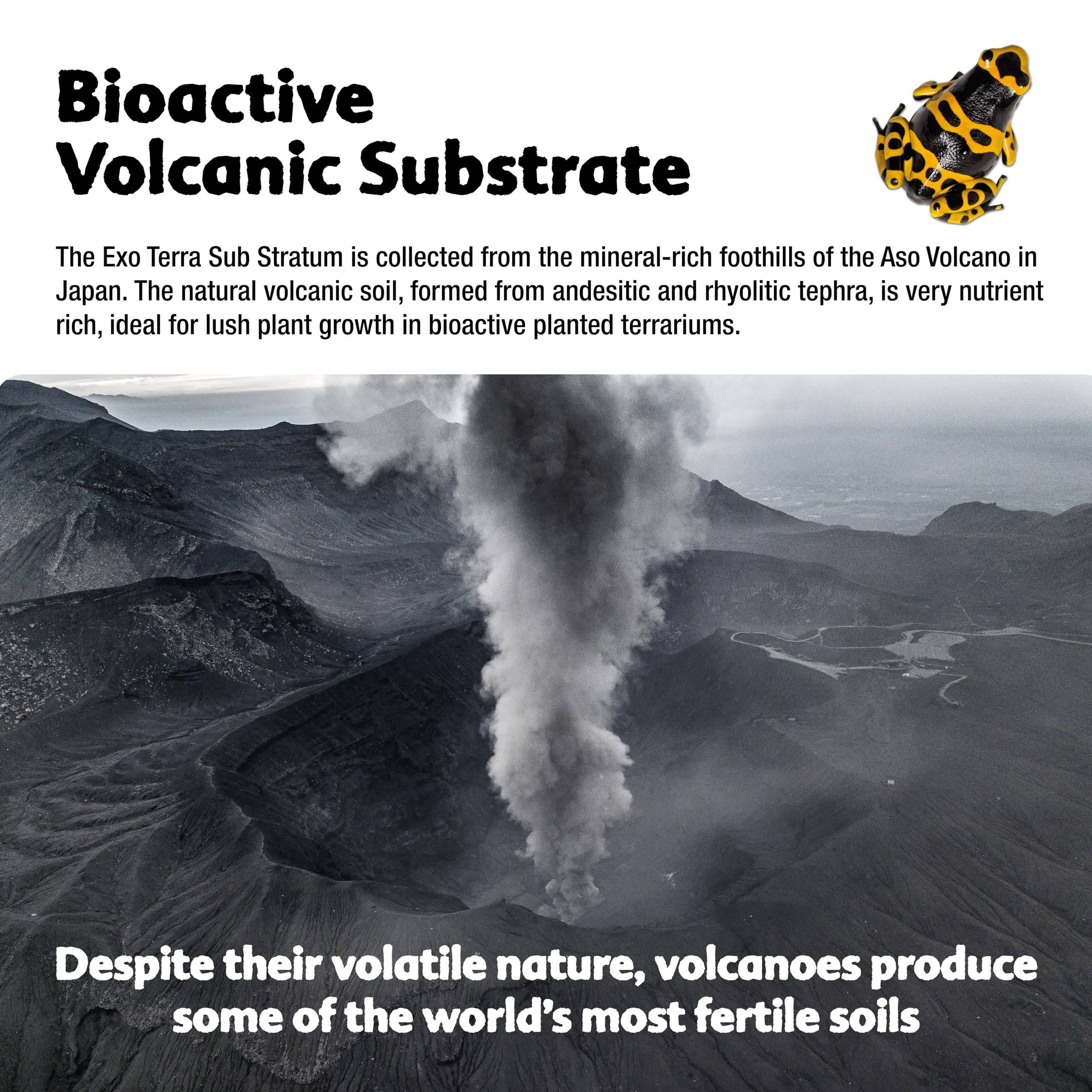 Exo Terra Sub Stratum, Bioactive Volcanic Substrate for Reptile Terrariums, Eliminates Odor, Offers Correct Moisture Levels 4.4